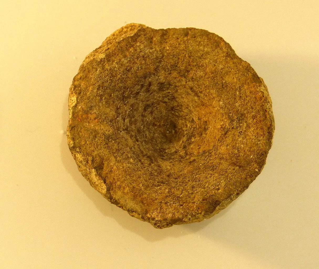 Limeseum Ruffenhofen