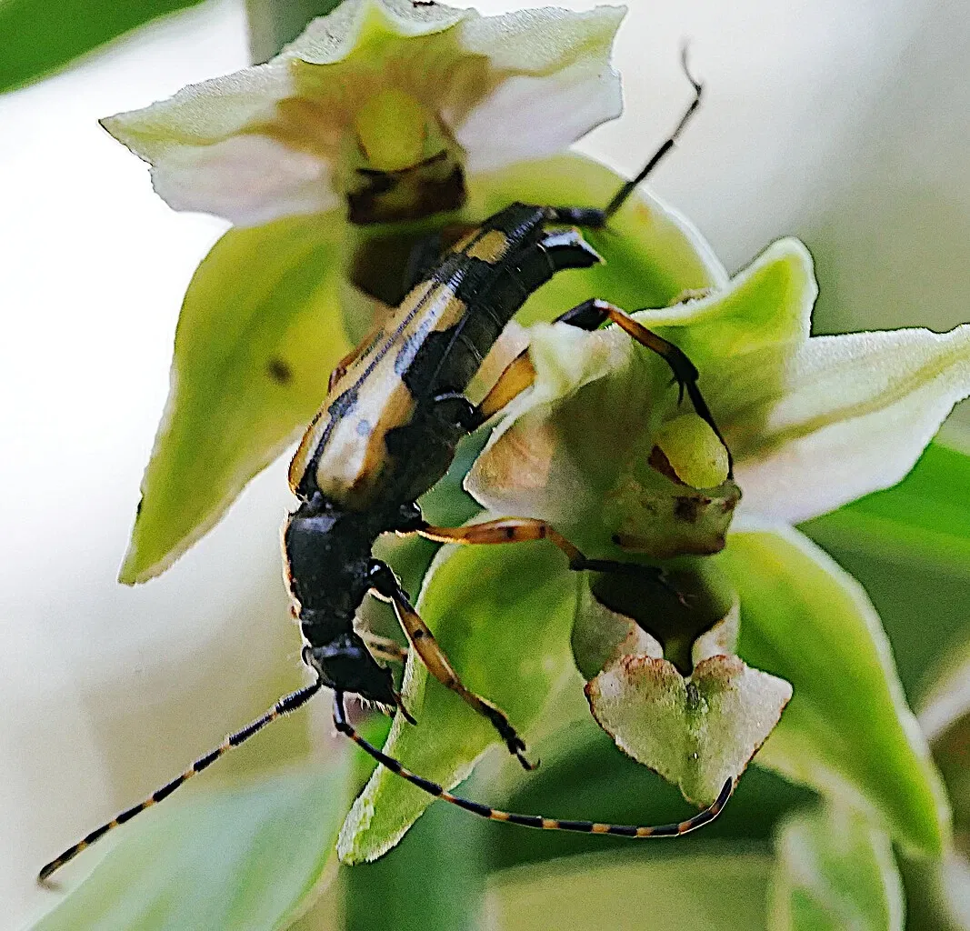 Museo dell'agricoltura a cielo aperto Roscheider Hof
