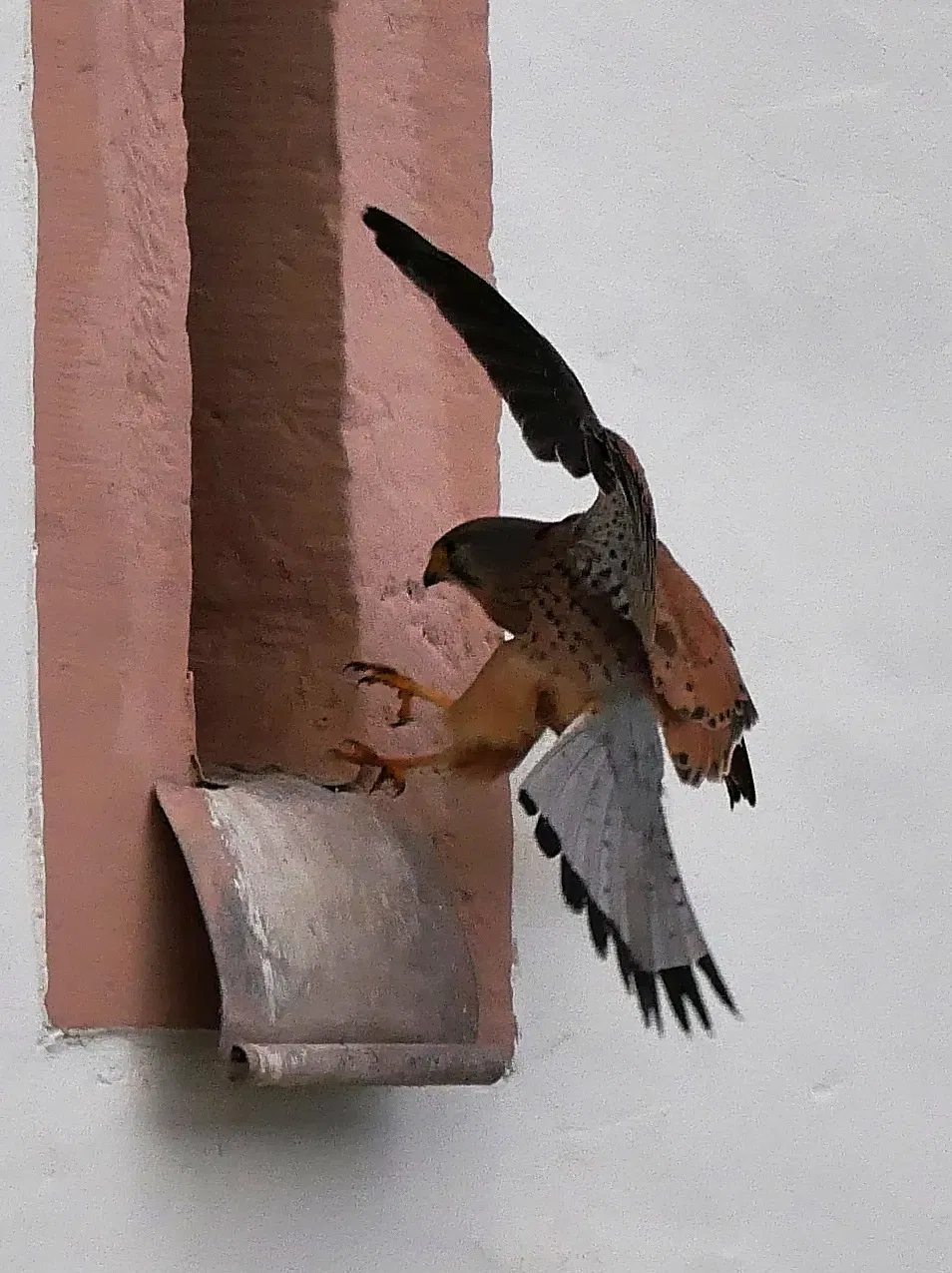 Museo dell'agricoltura a cielo aperto Roscheider Hof