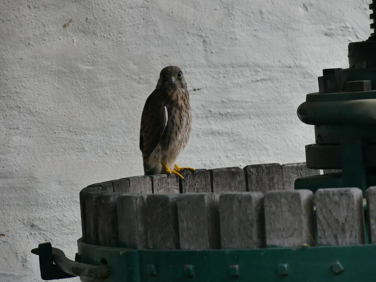 Roscheider Hof Open Air Museum