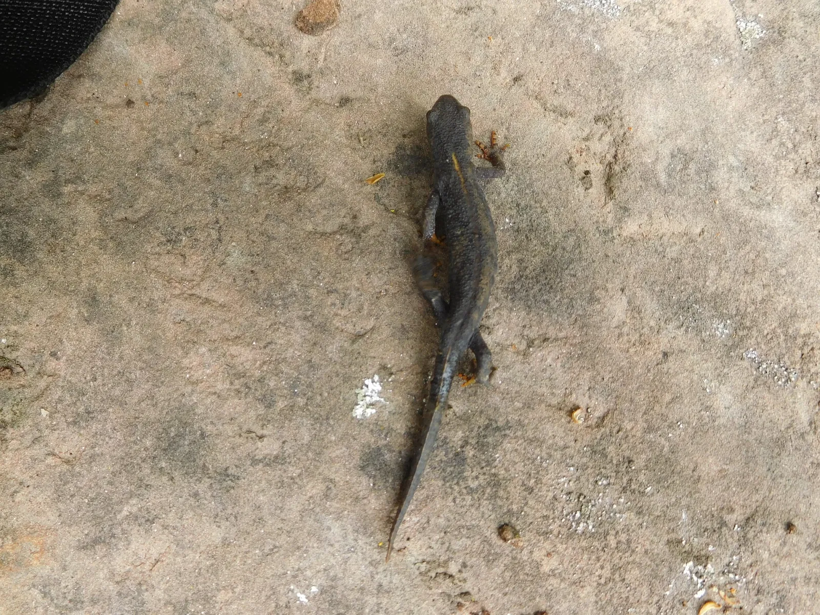 Écomusée Roscheider Hof