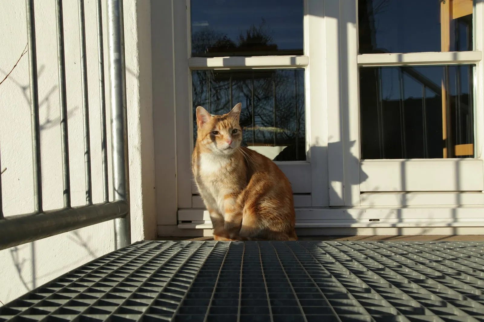 Heimatmuseum Bergneustadt