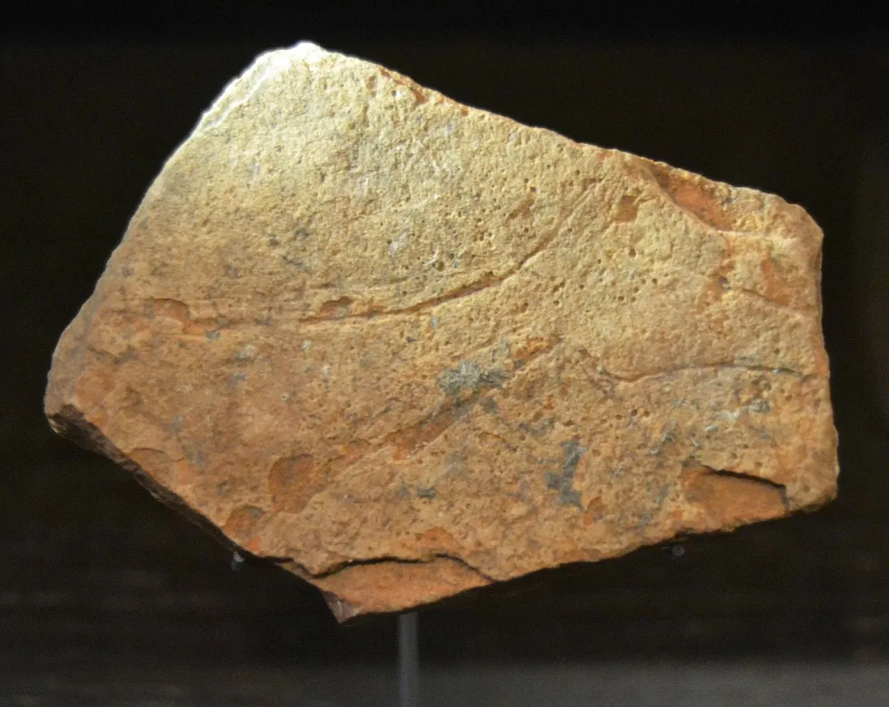 Musée de la Valltorta