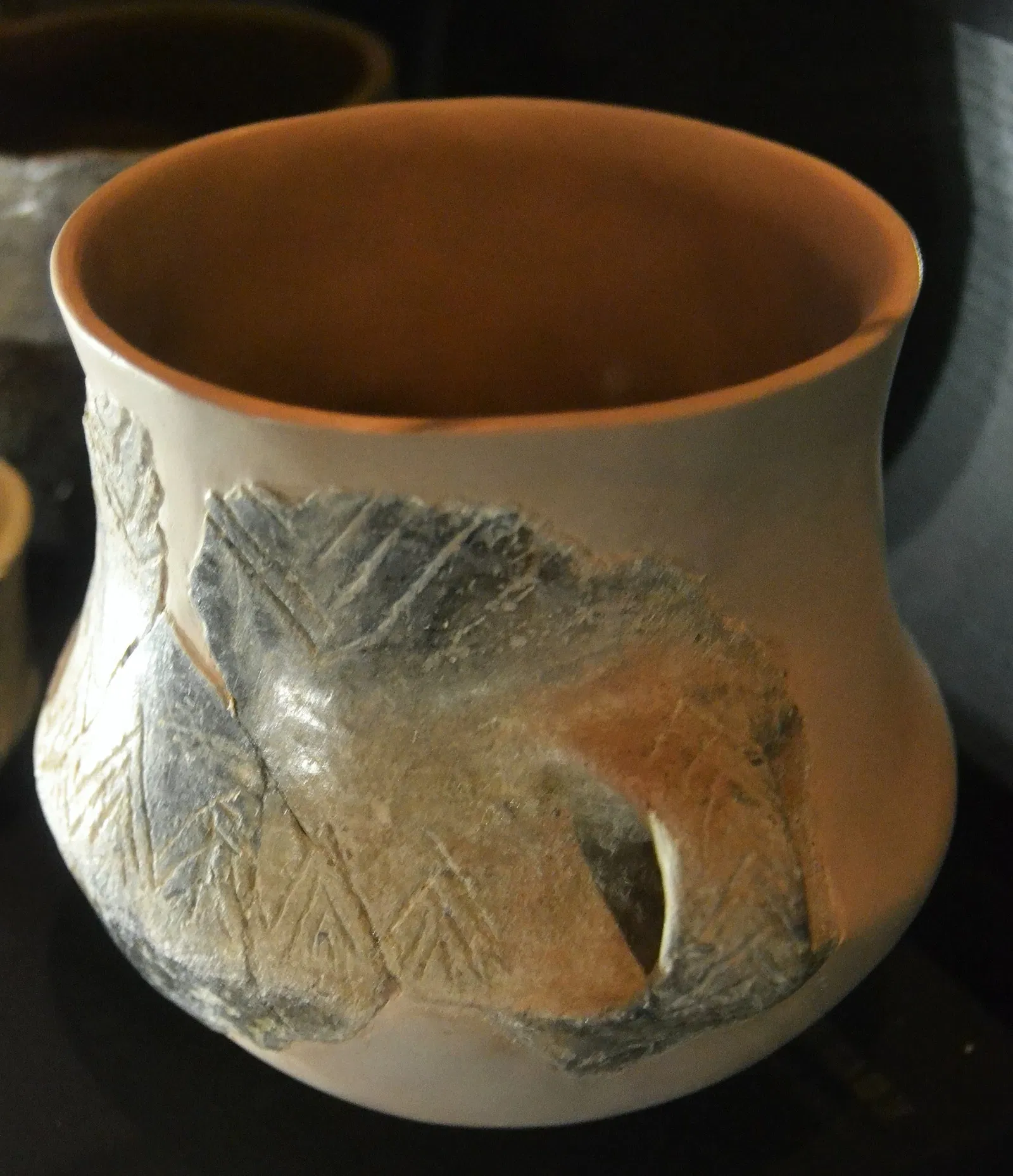 Musée de la Valltorta