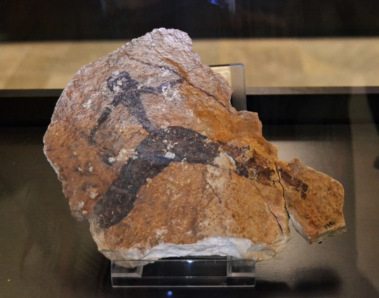 Musée de la Valltorta