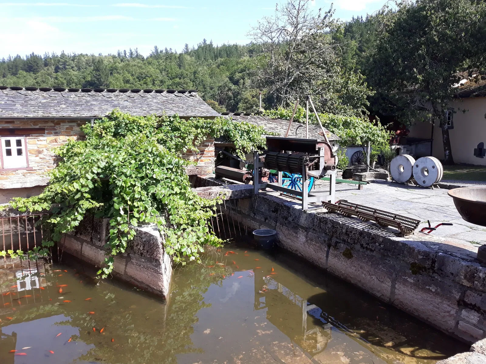 Ethnographic Museum of Grandas de Salime