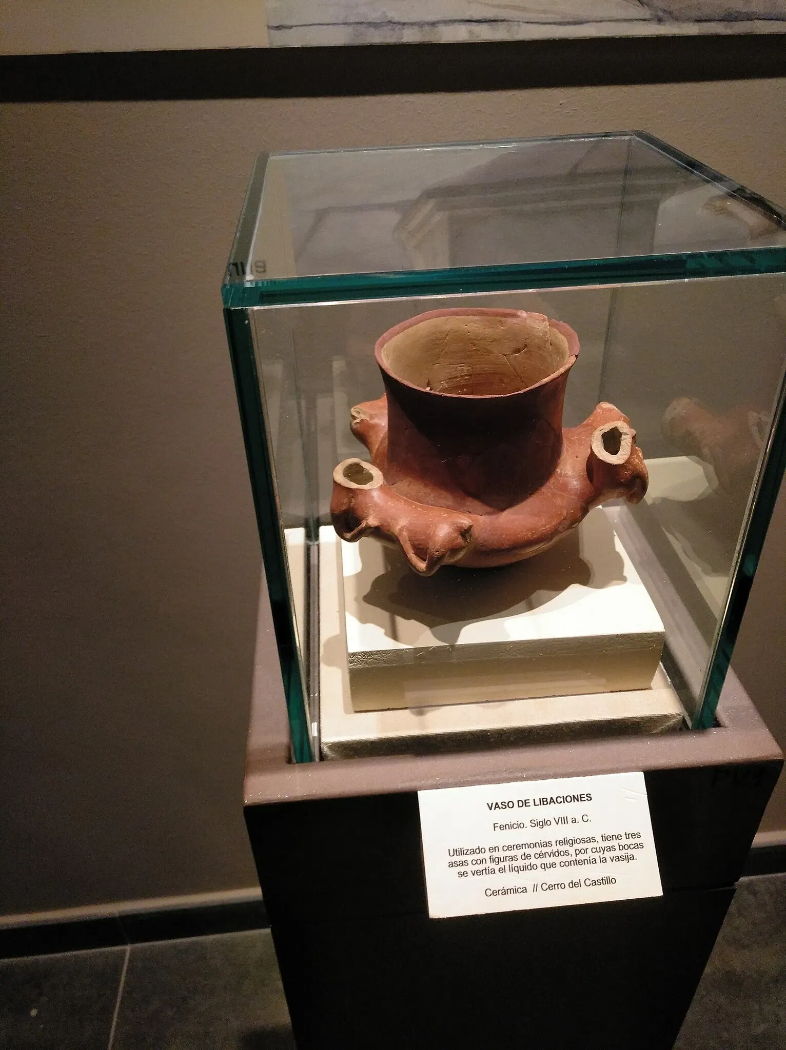 Museo Arqueológico de Medina Sidonia