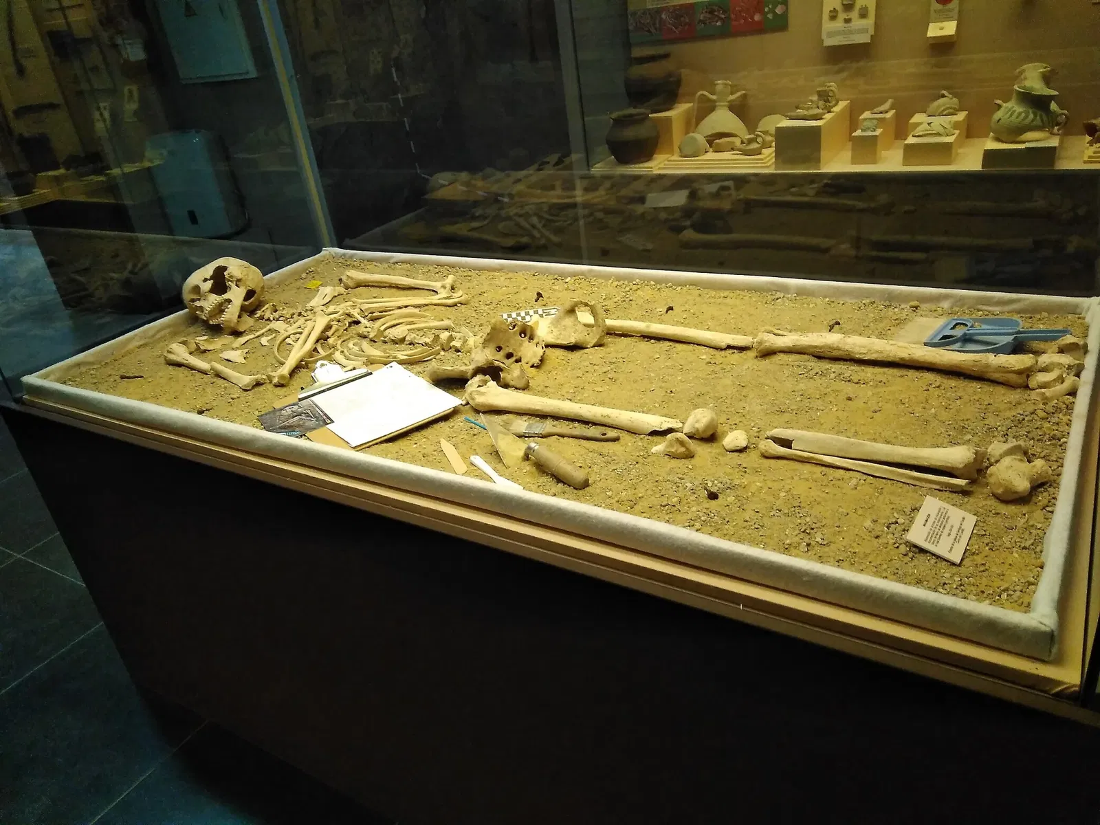 Museo Arqueológico de Medina Sidonia