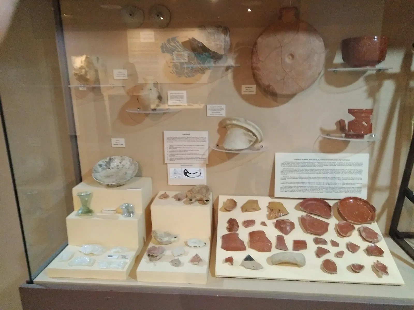 Museo Arqueológico de Medina Sidonia