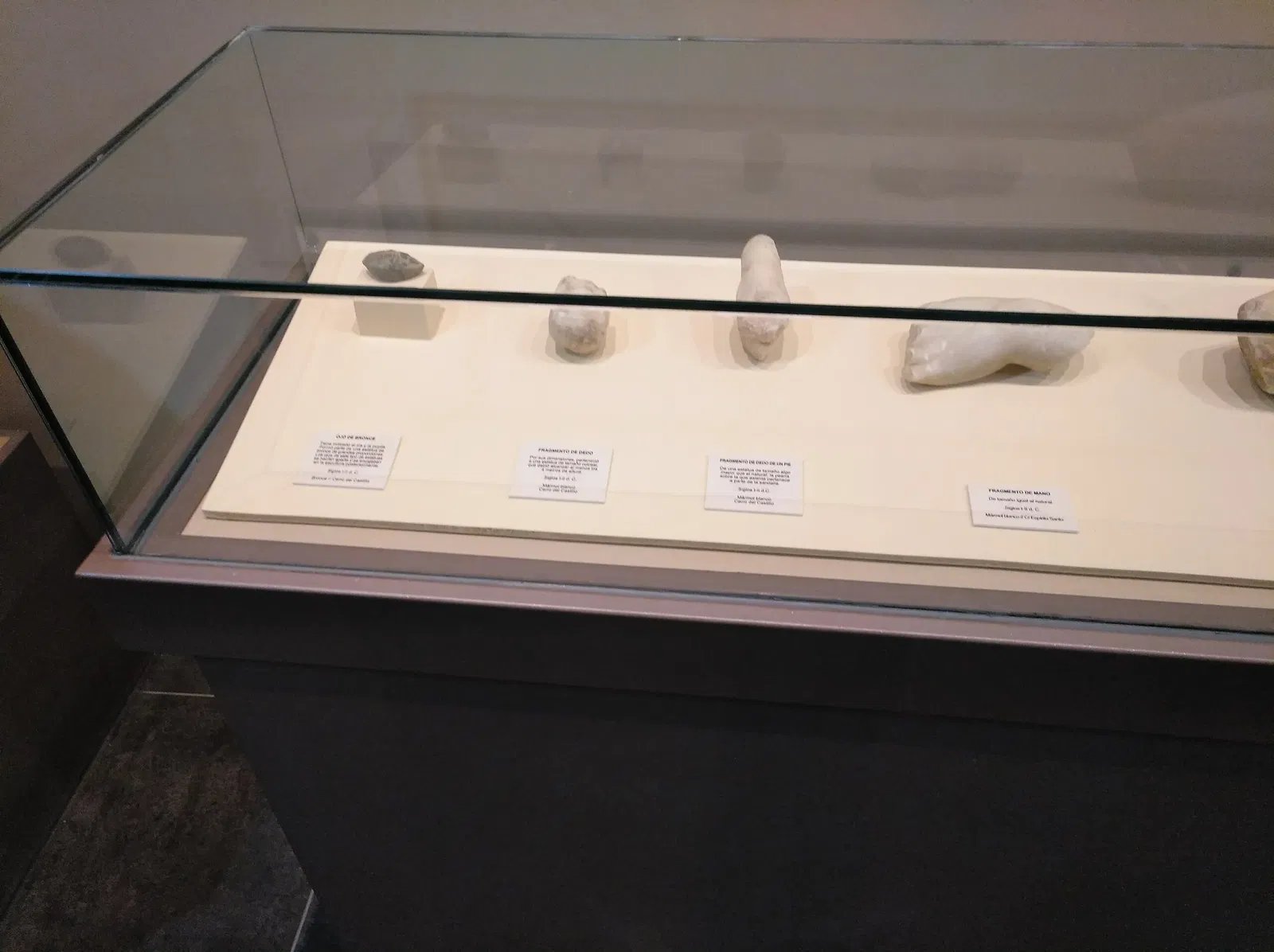 Museo Arqueológico de Medina Sidonia