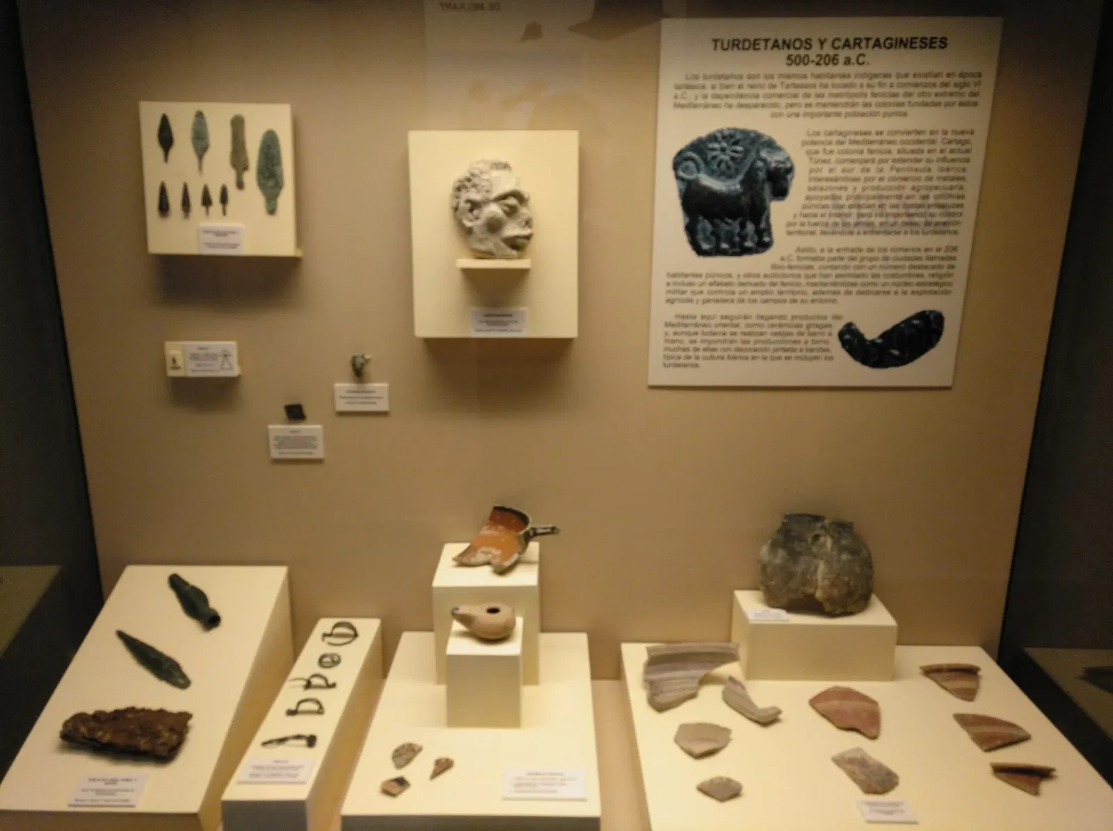 Museo Arqueológico de Medina Sidonia