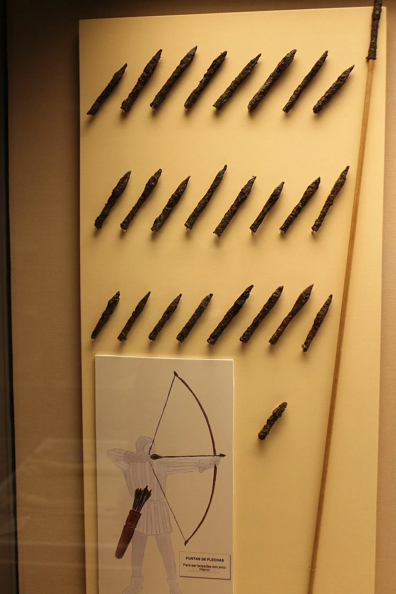 Museo Arqueológico de Medina Sidonia