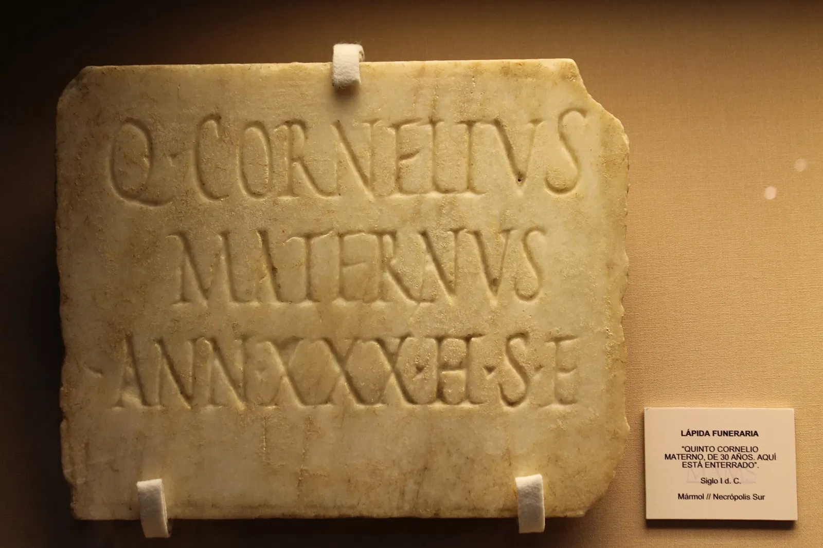 Museo Arqueológico de Medina Sidonia