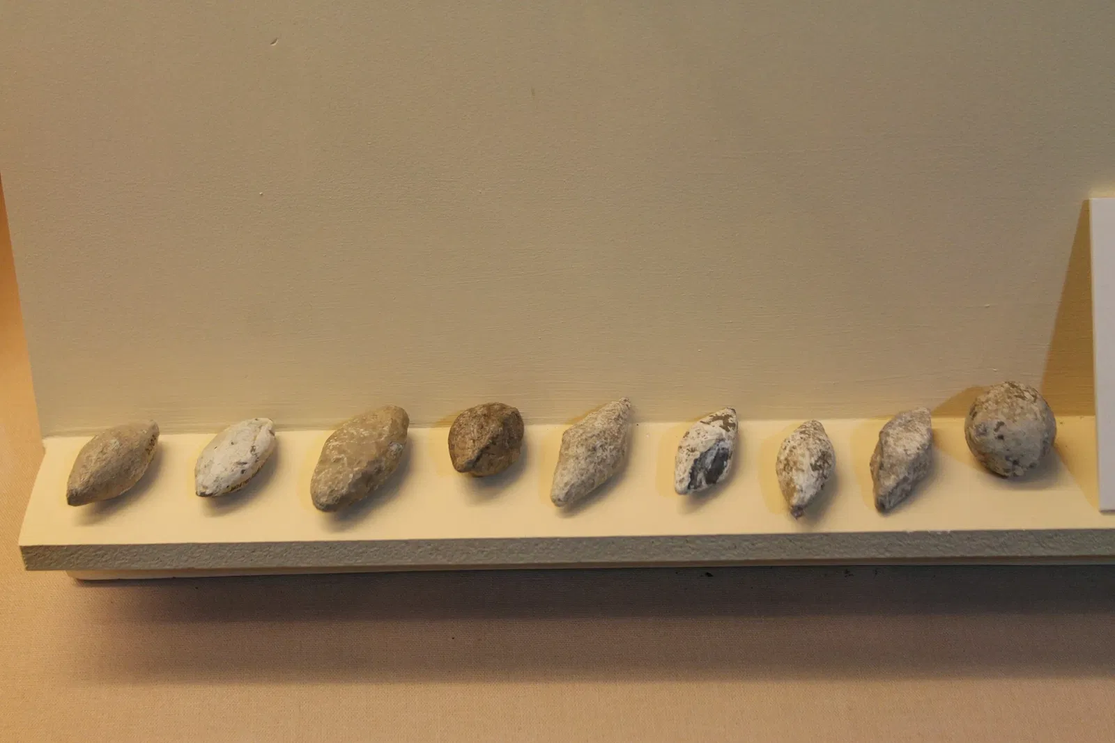 Museo Arqueológico de Medina Sidonia