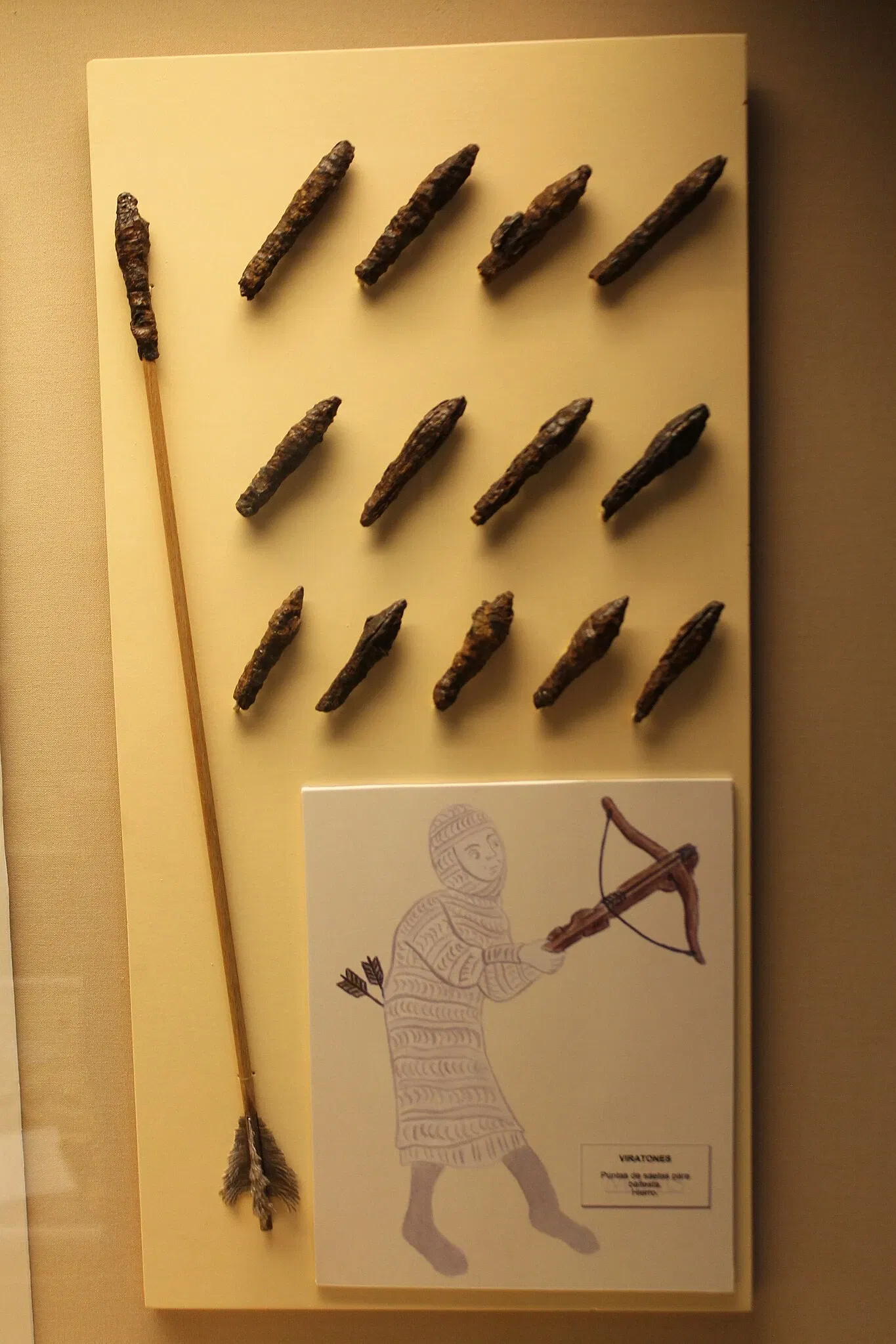 Museo Arqueológico de Medina Sidonia