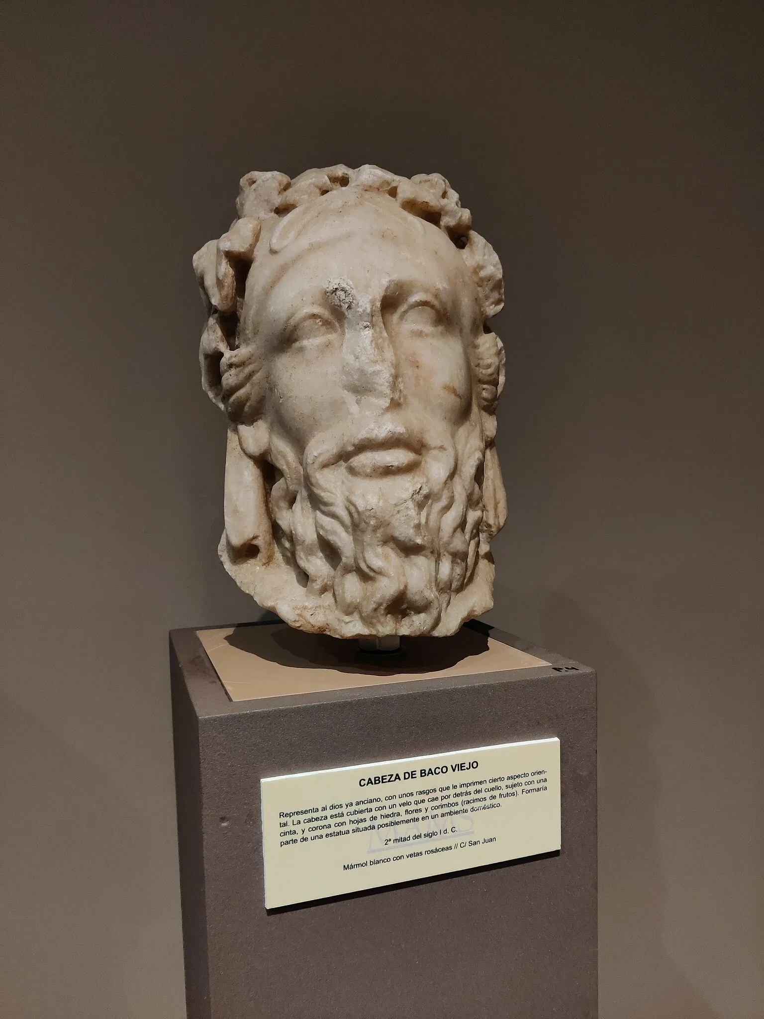 Museo Arqueológico de Medina Sidonia