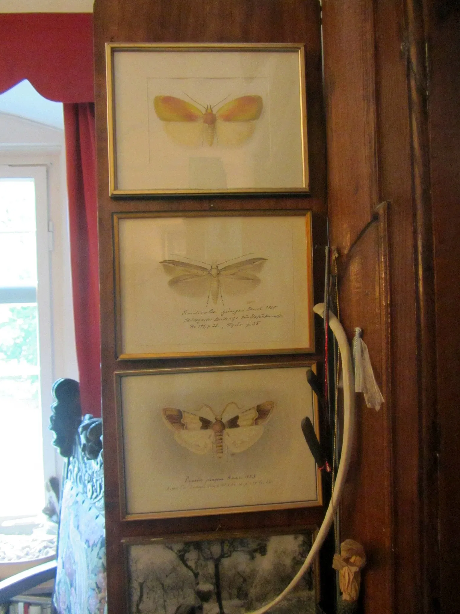 Jünger-Haus Wilflingen