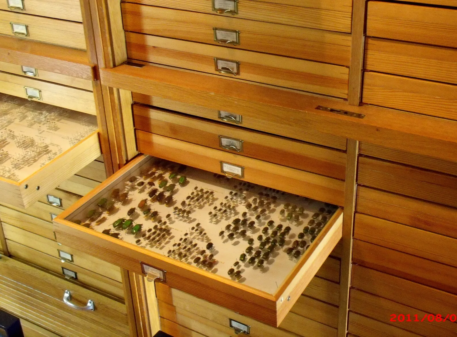 Jünger-Haus Wilflingen