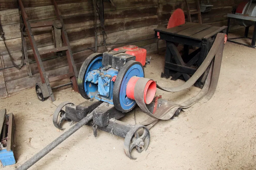 Wild- und Freizeitpark Ostrittrum