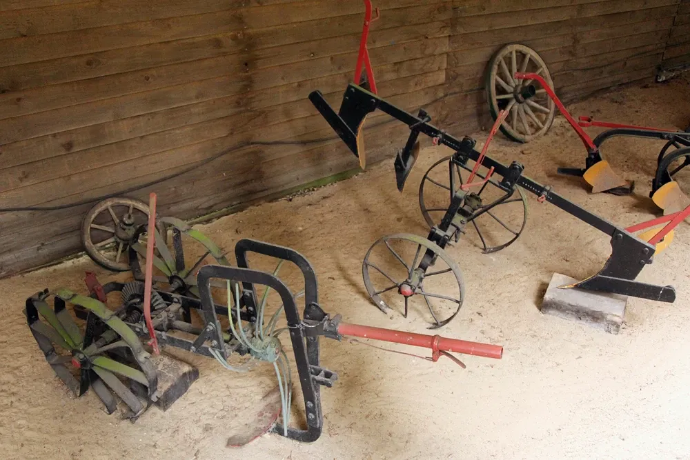 Wild and leisure park Ostrittrum