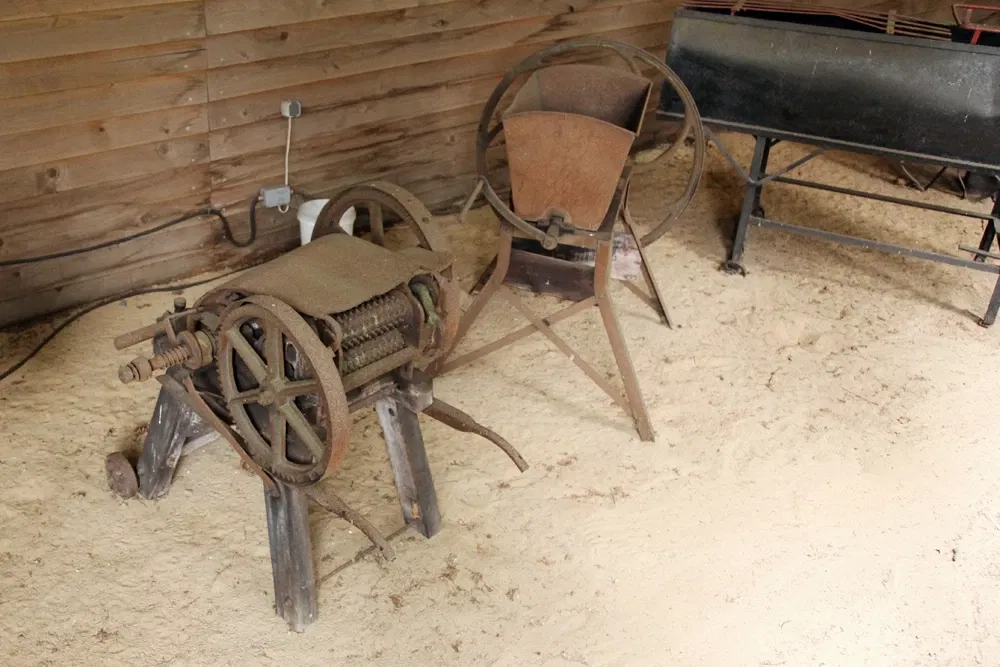 Wild- und Freizeitpark Ostrittrum