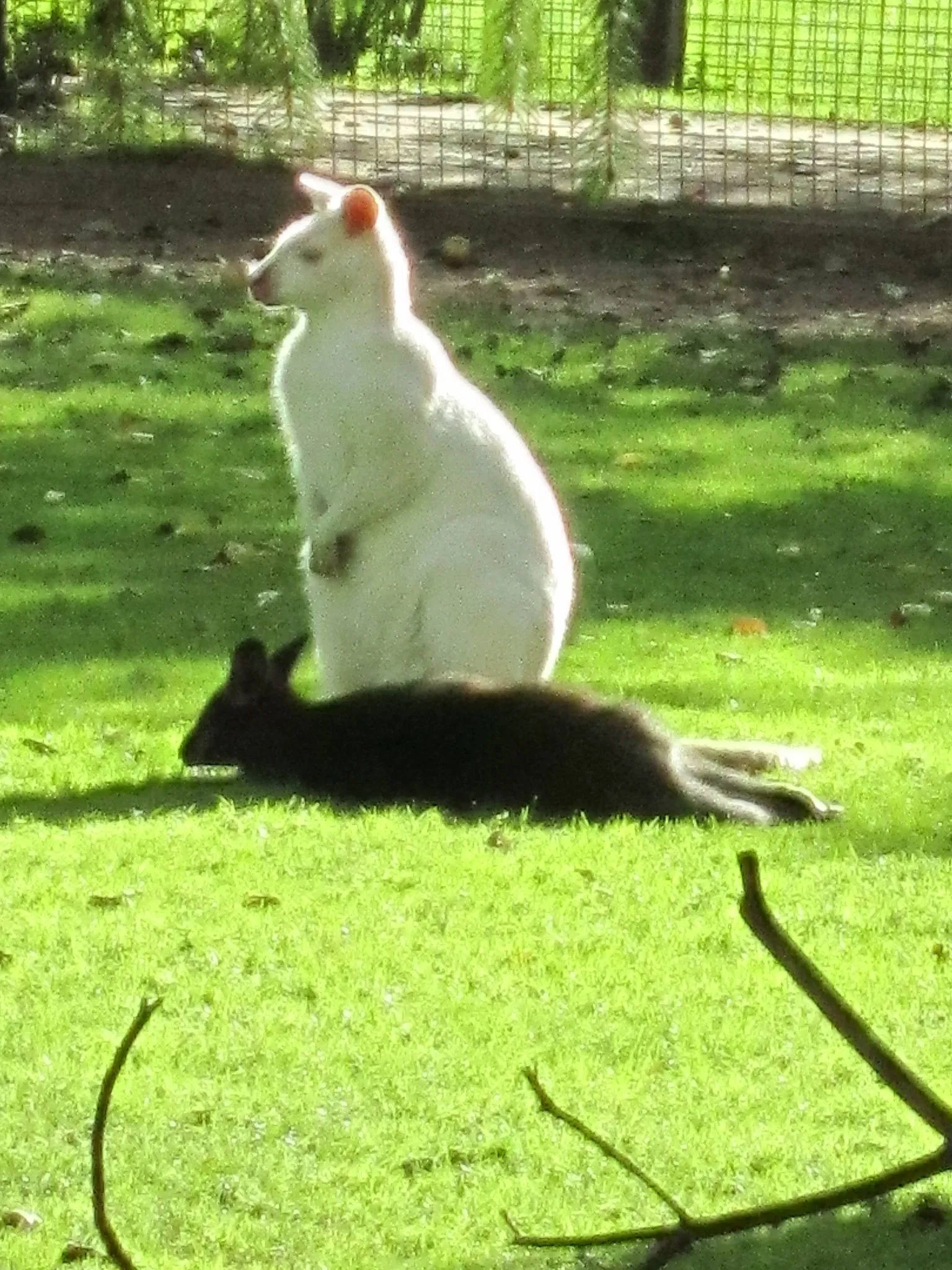 Wild and leisure park Ostrittrum