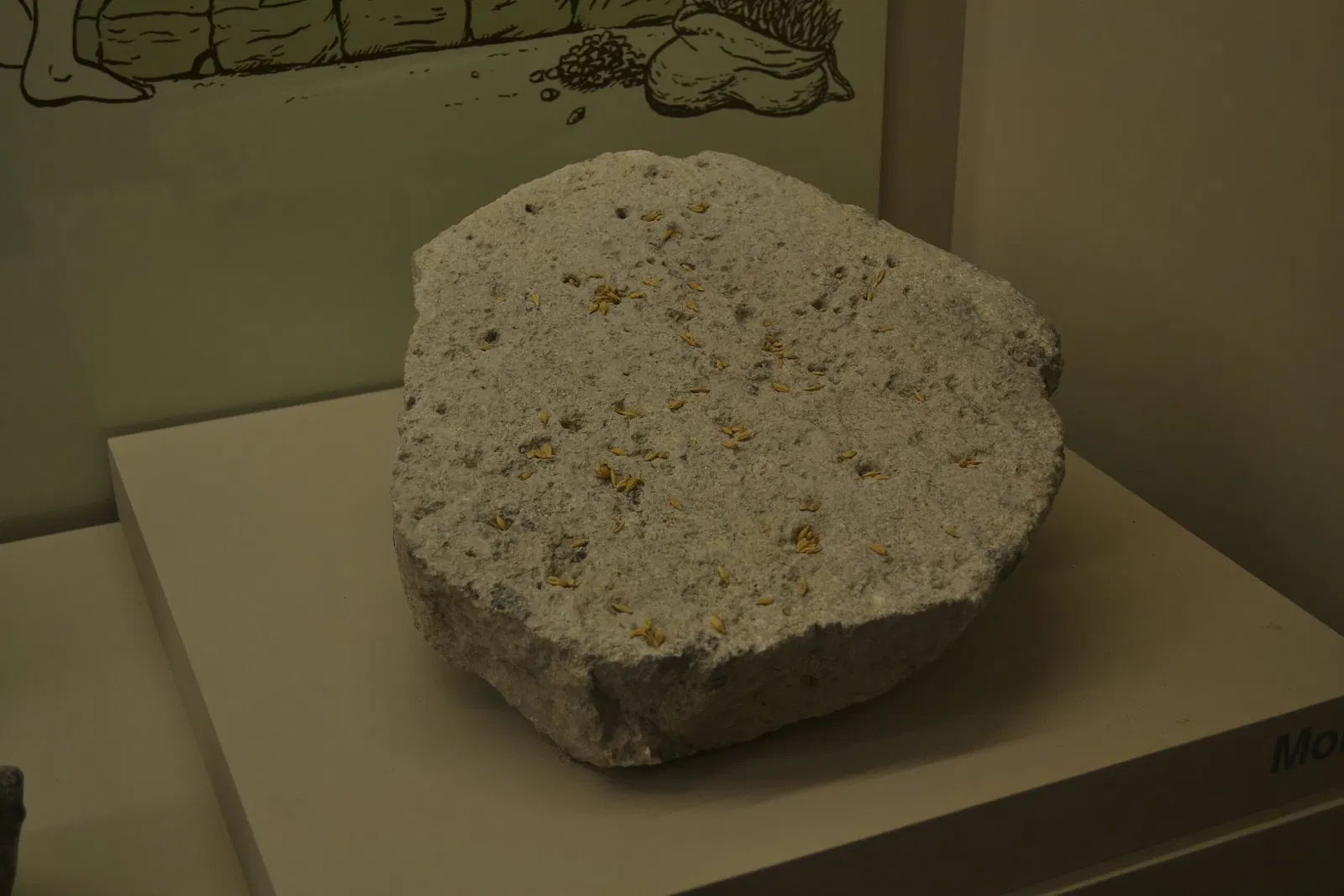 Museu Arqueològic de Son Fornés