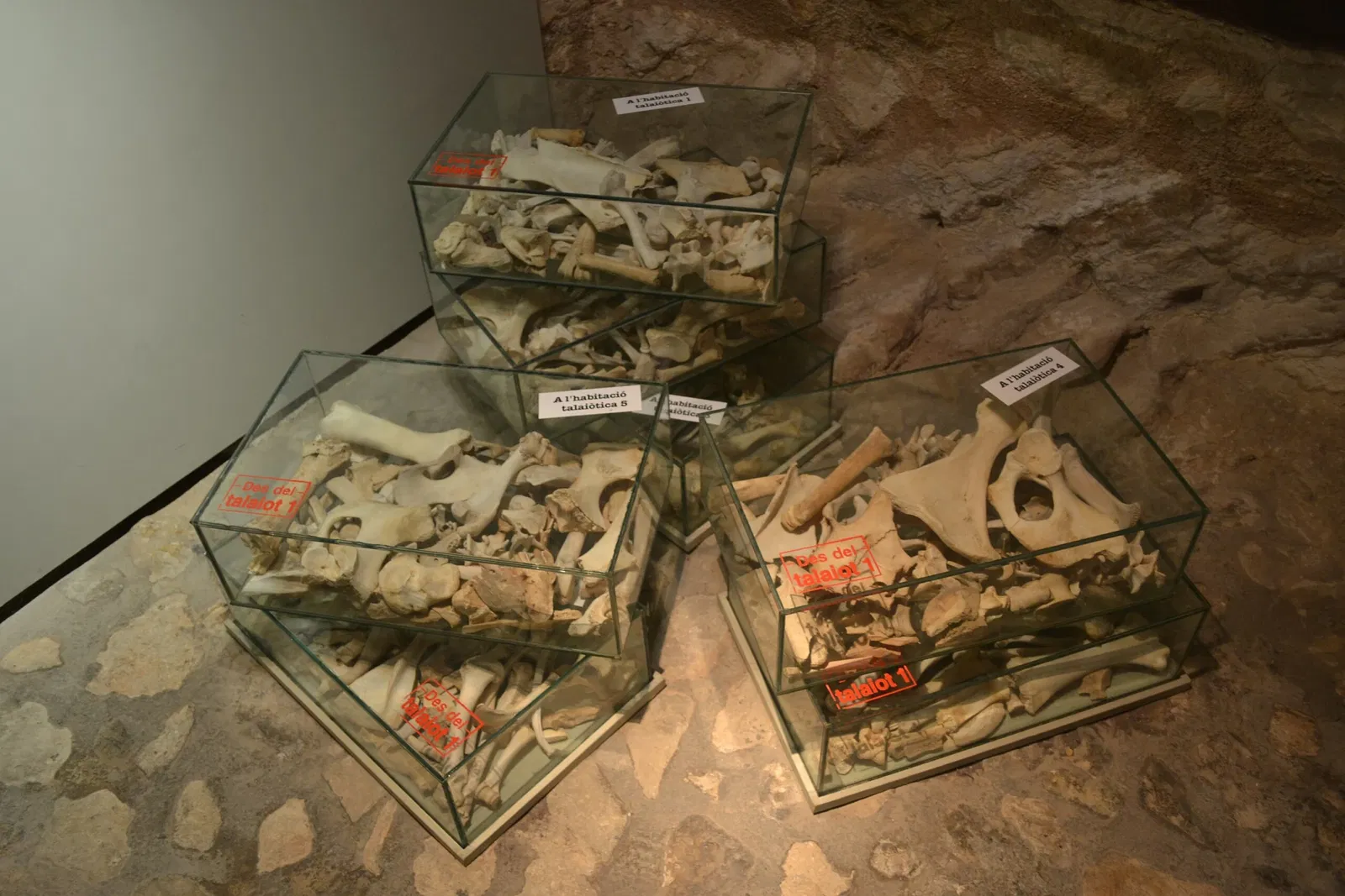 Museu Arqueològic de Son Fornés