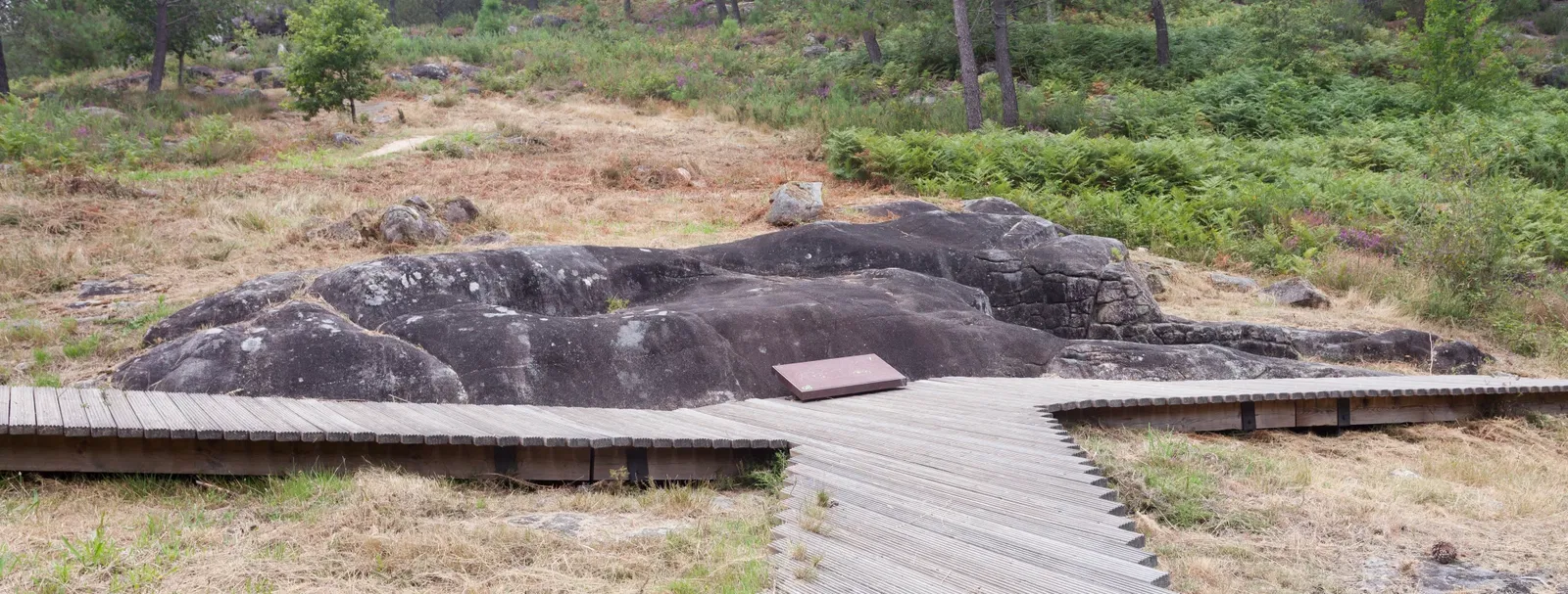 Archaeological Park of Campo Lameiro