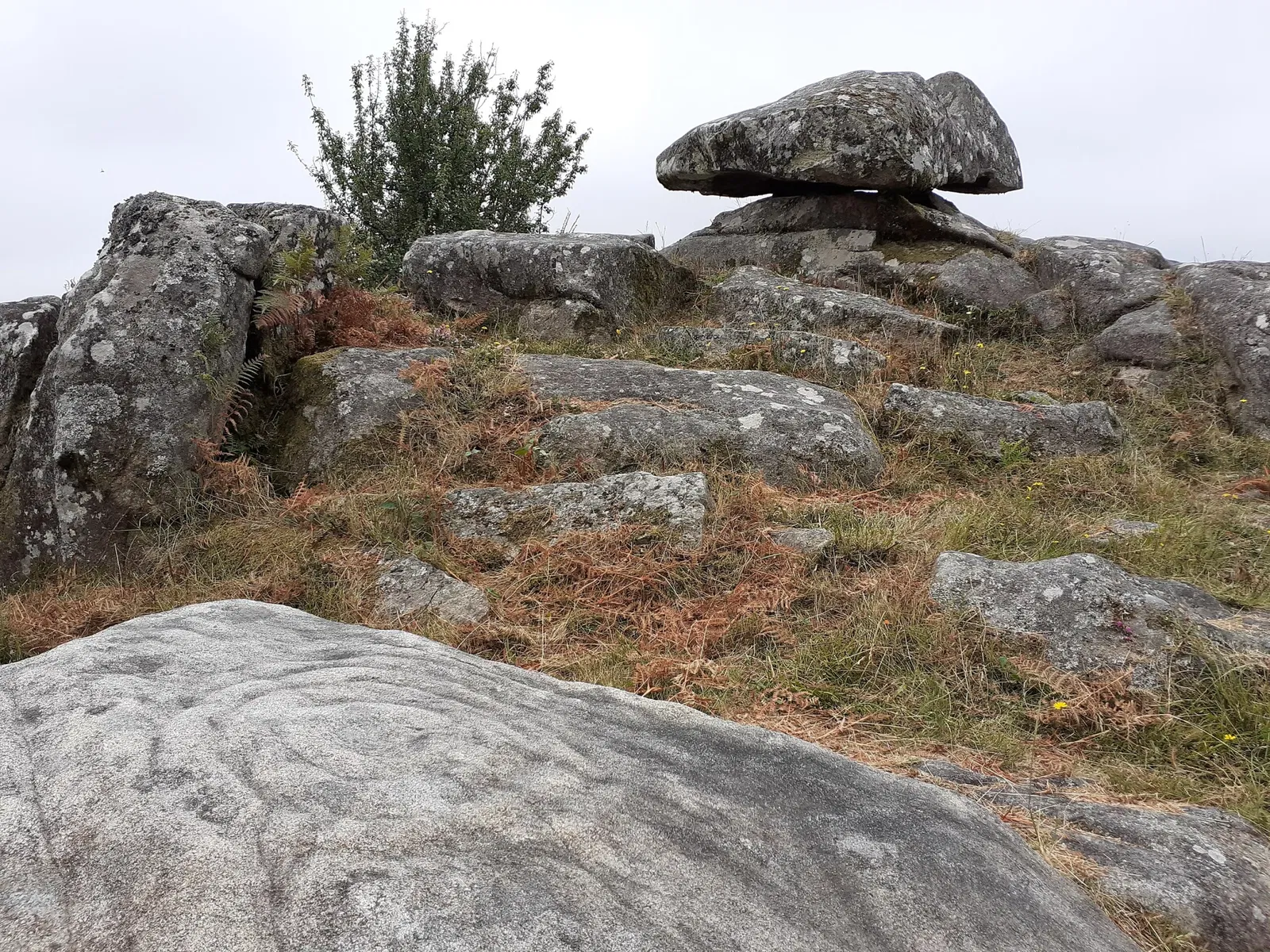Parc archéologique de Campo Lameiro