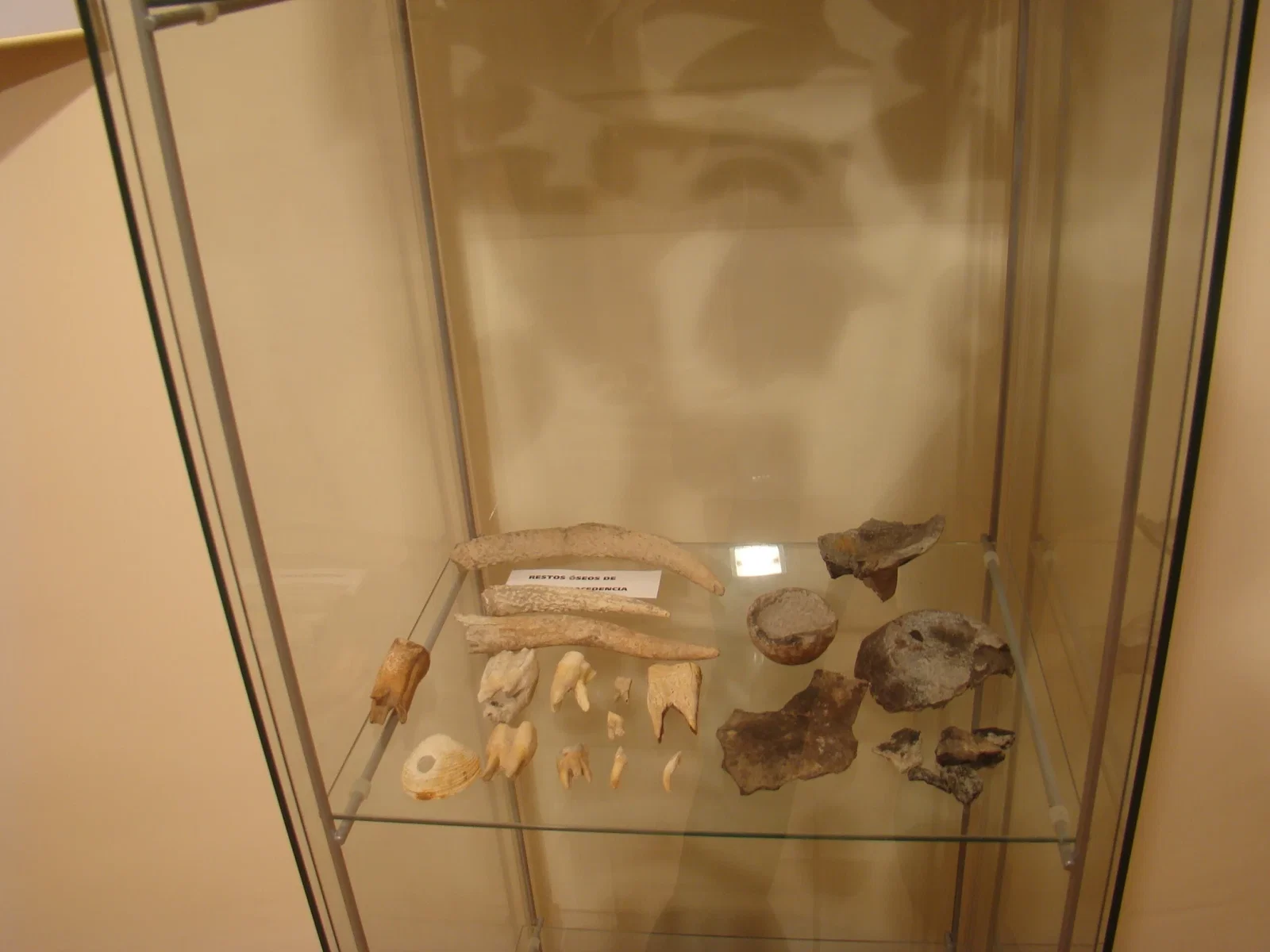 Museo del Cántaro