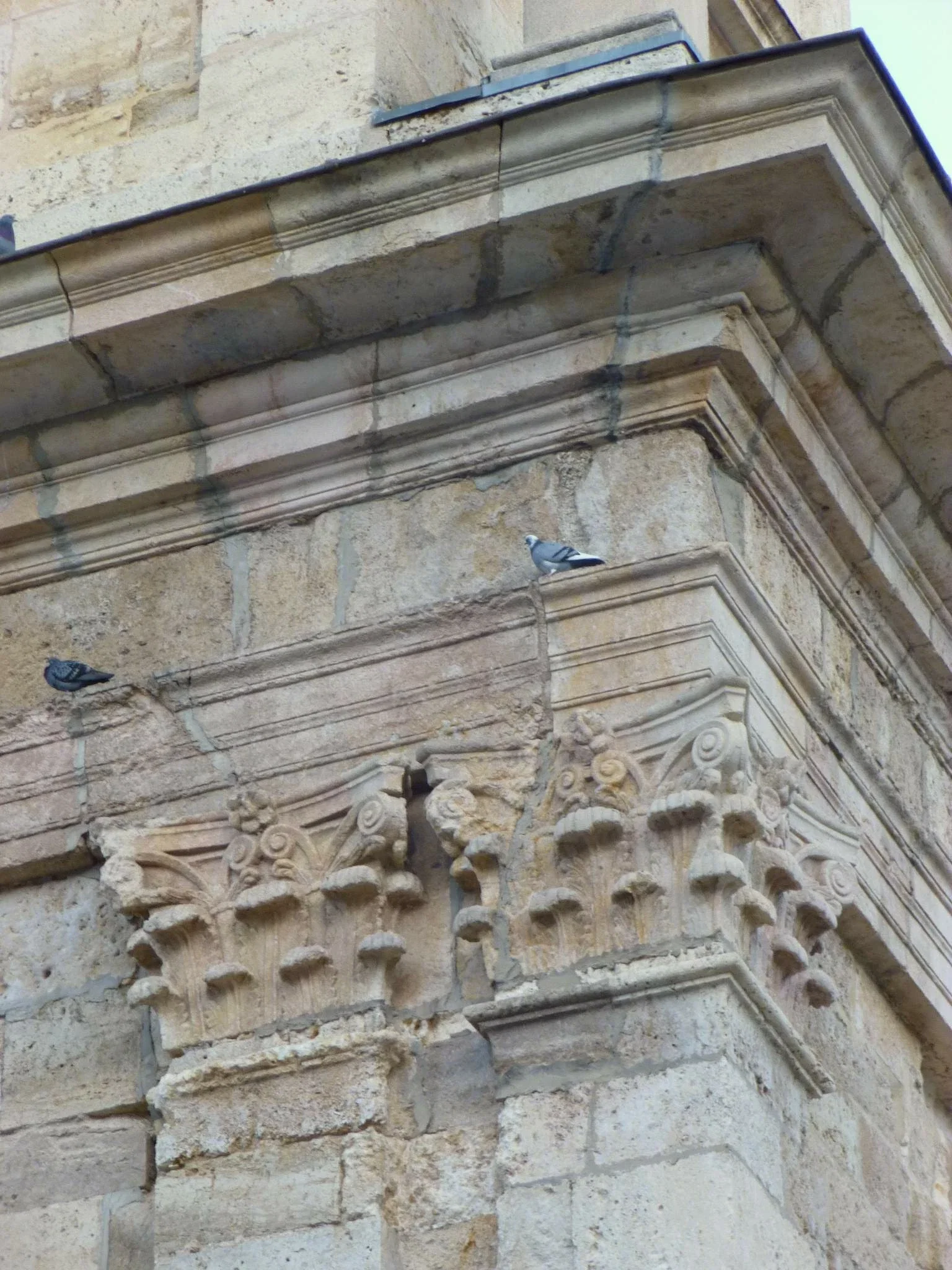 Collegiate of Santa María la Mayor