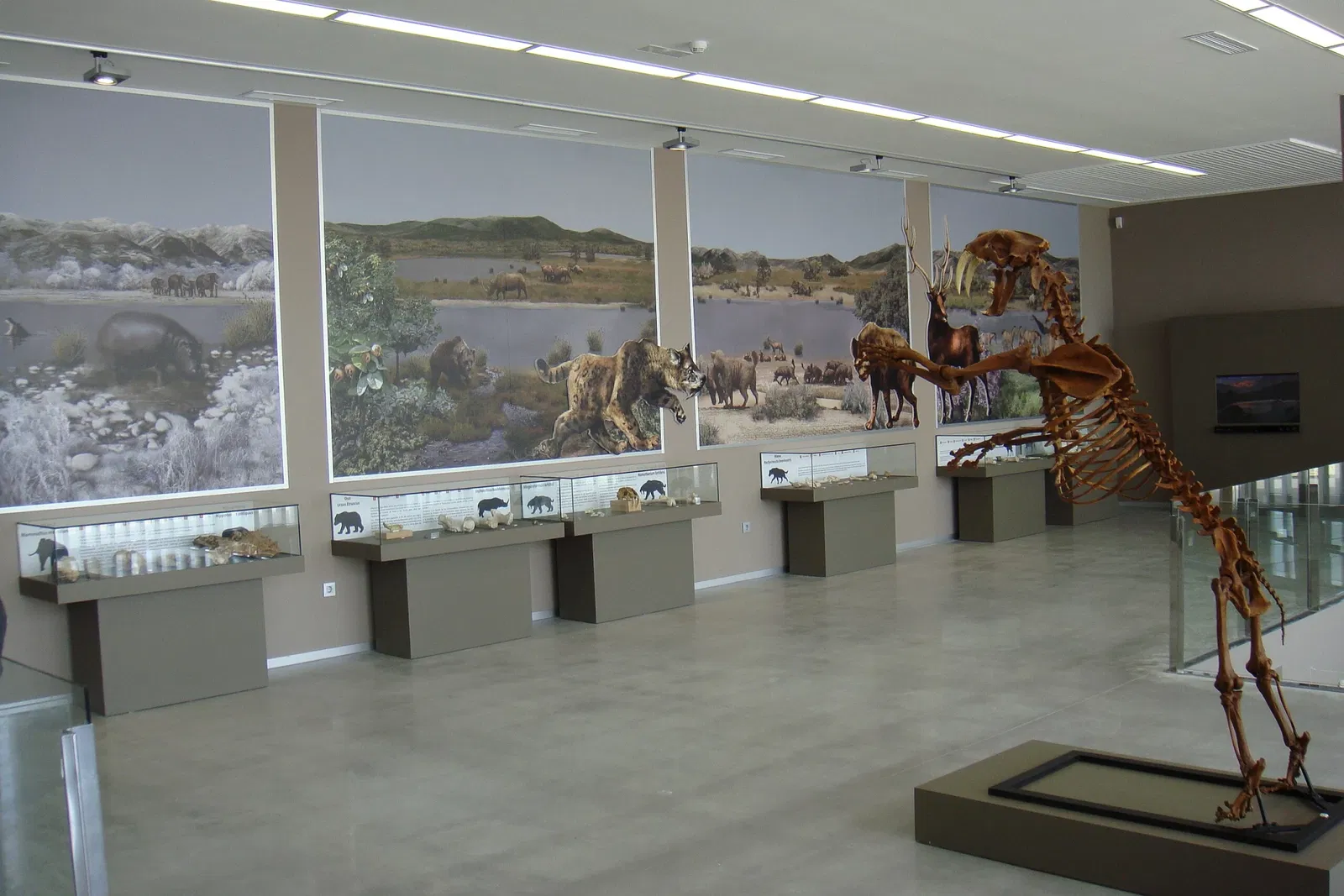 Museo Primeros Pobladores de Europa