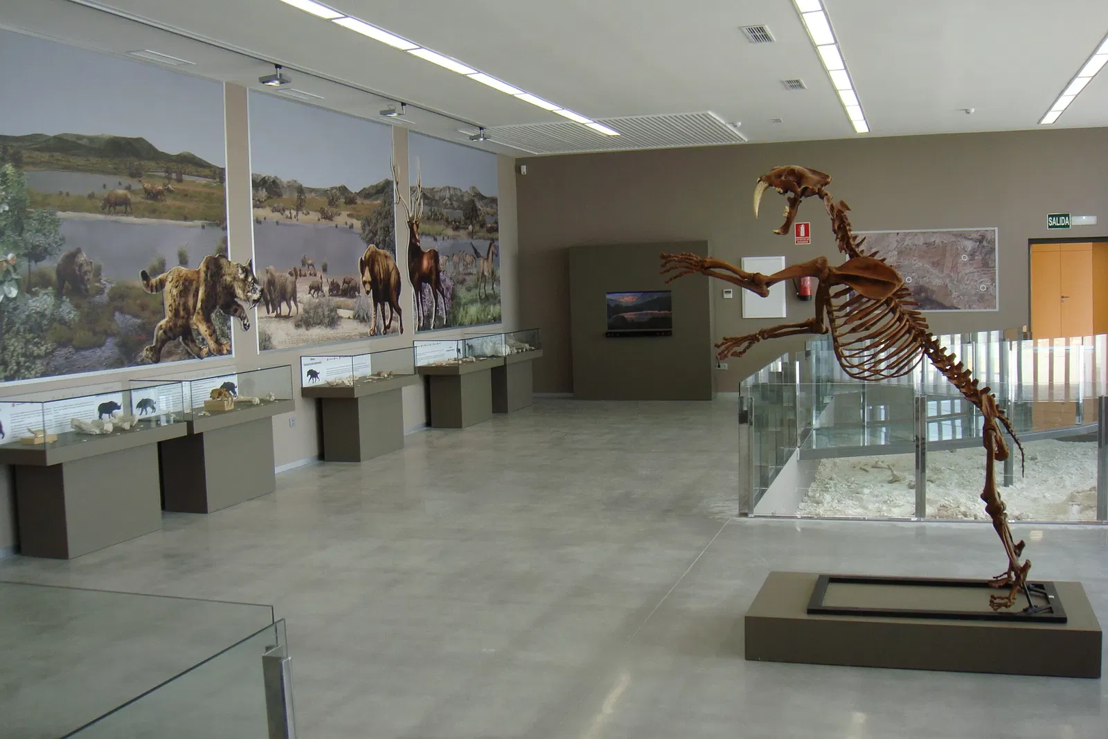 Museo Primeros Pobladores de Europa