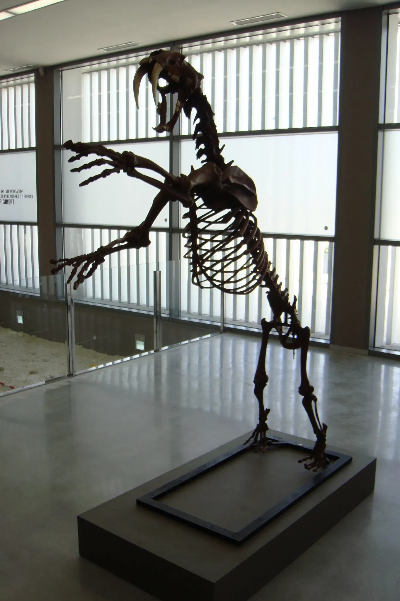 Museo Primeros Pobladores de Europa