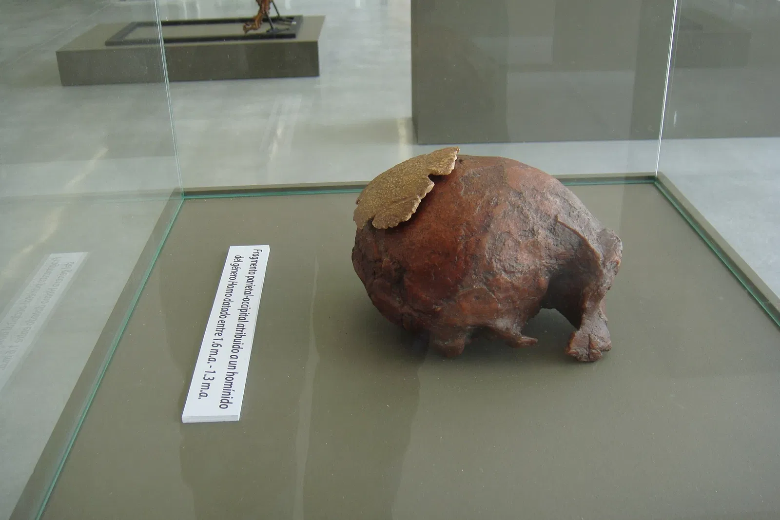 Museo Primeros Pobladores de Europa