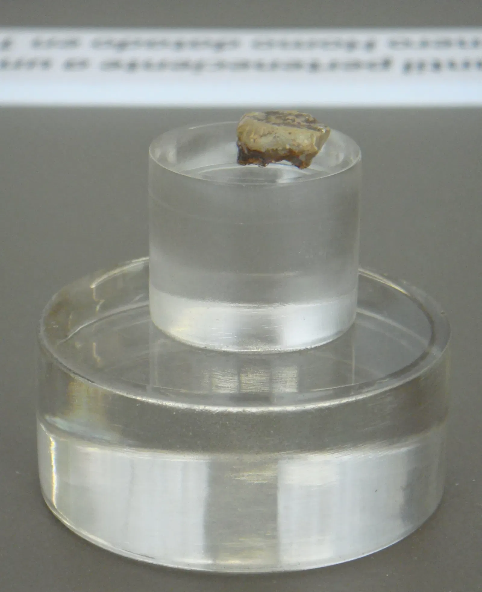 Museo Primeros Pobladores de Europa