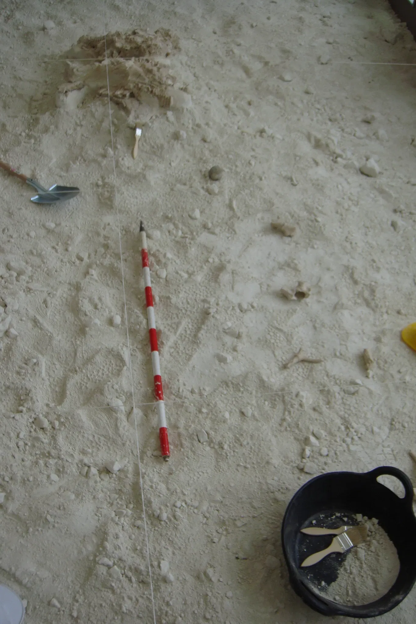 Museo Primeros Pobladores de Europa