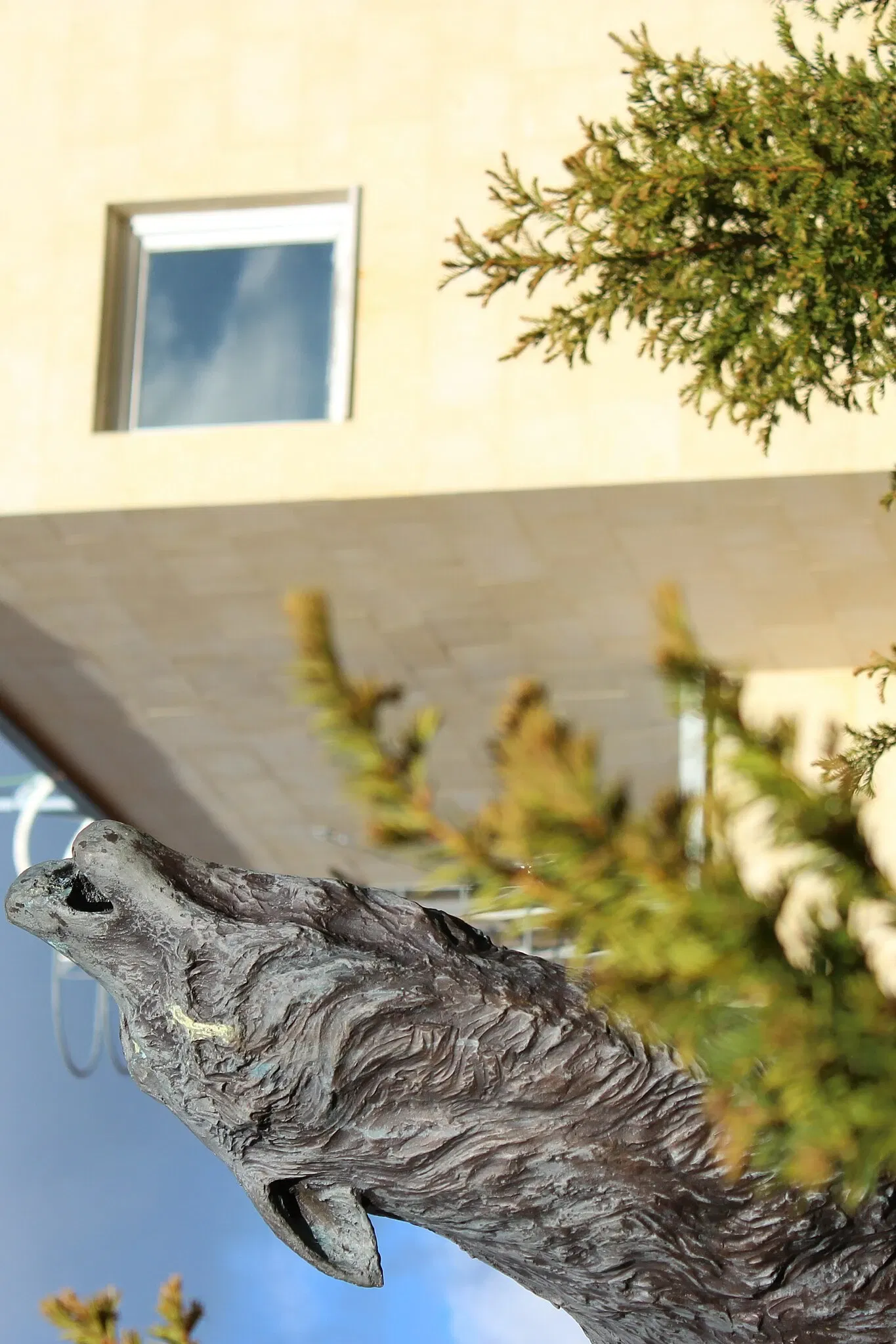 Museo de la Fauna Salvaje