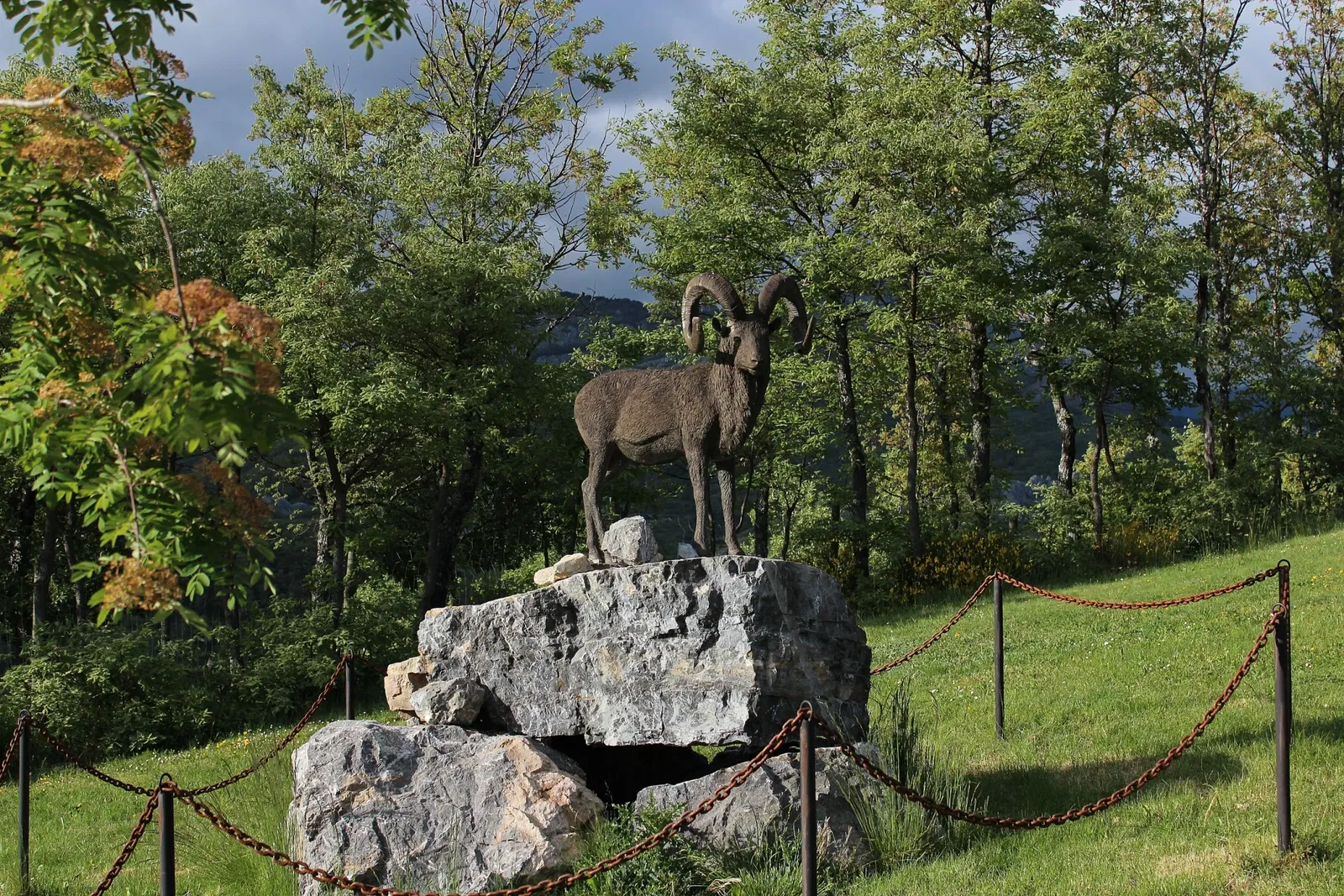 Museo de la Fauna Salvaje