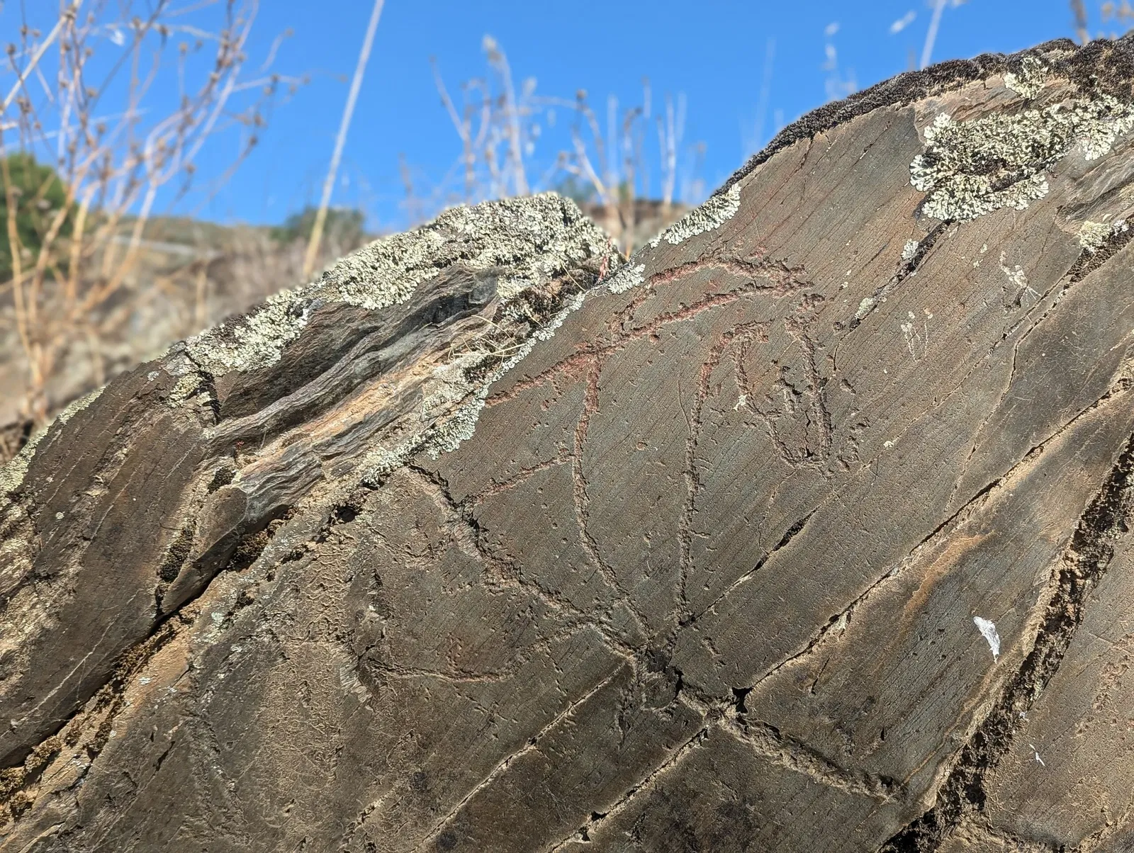 Sites d'art rupestre préhistorique de la vallée de Côa