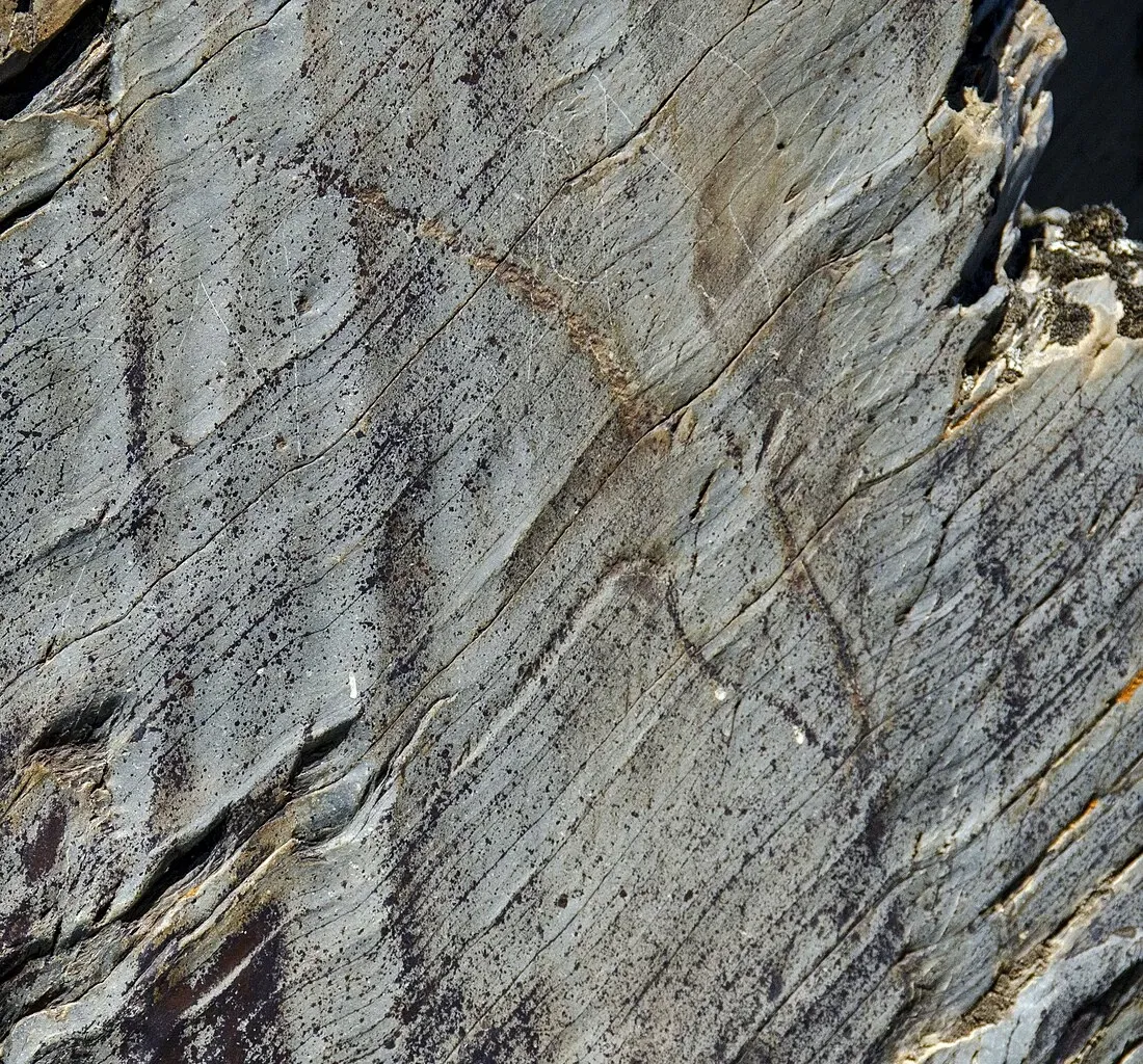 Siega Verde Zona Arqueologica