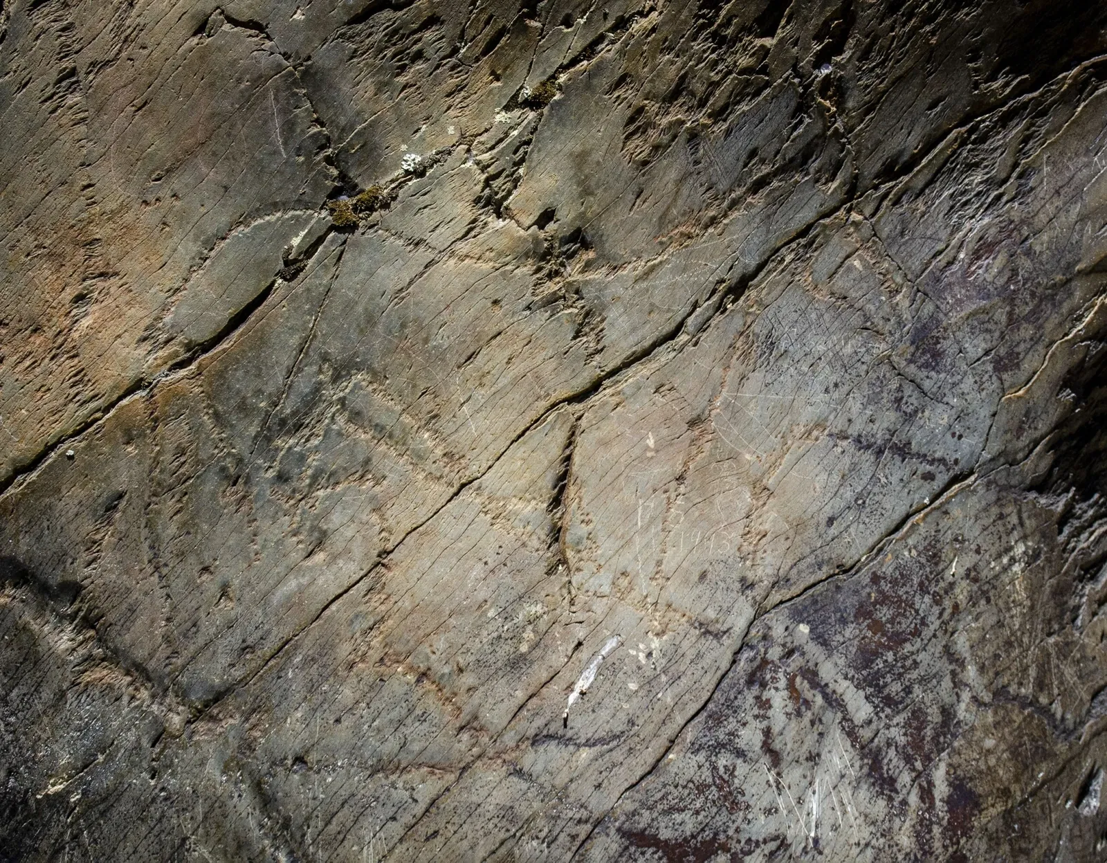 Siega Verde Zona Arqueologica