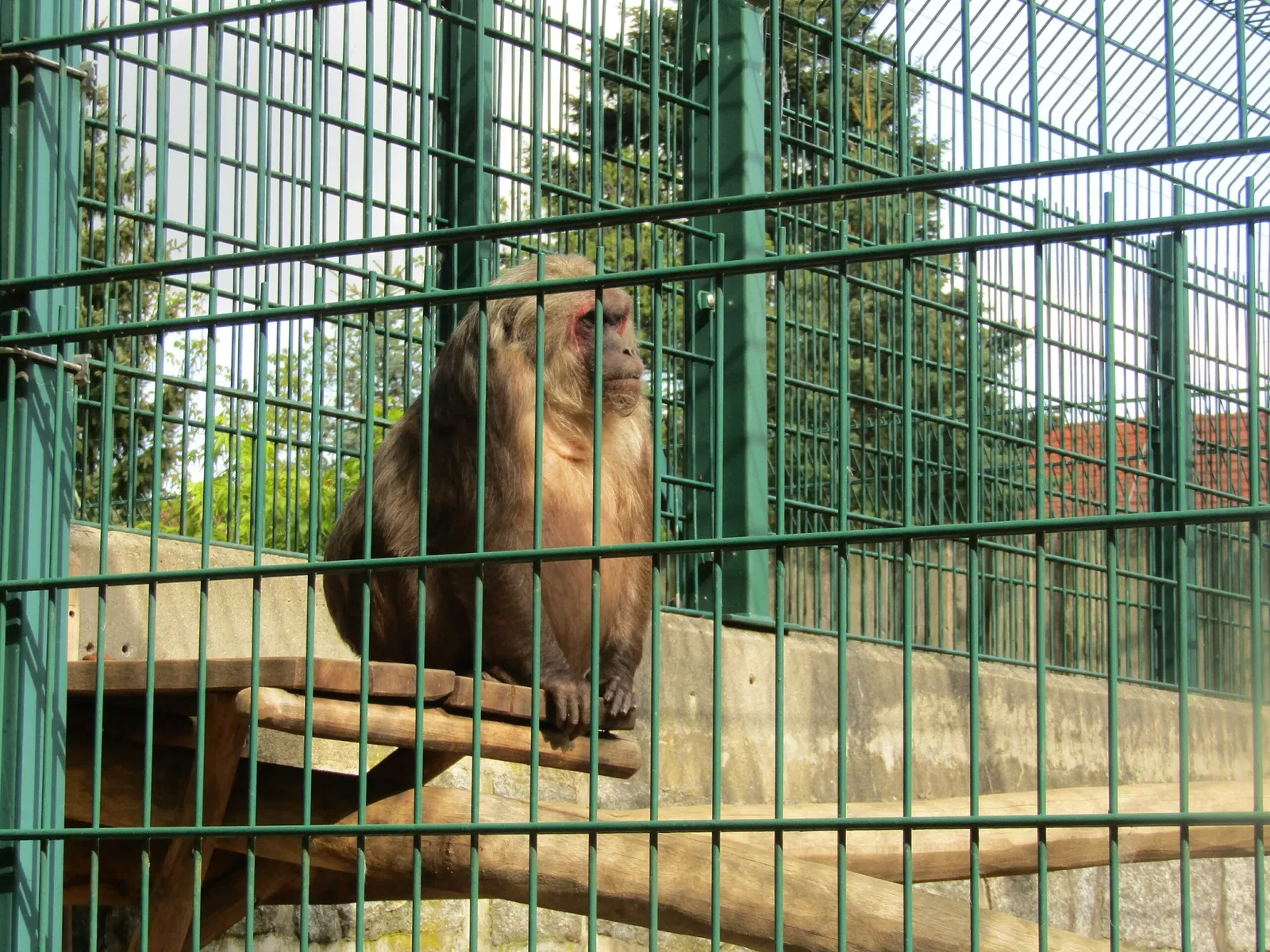 Bischofswerda Zoo
