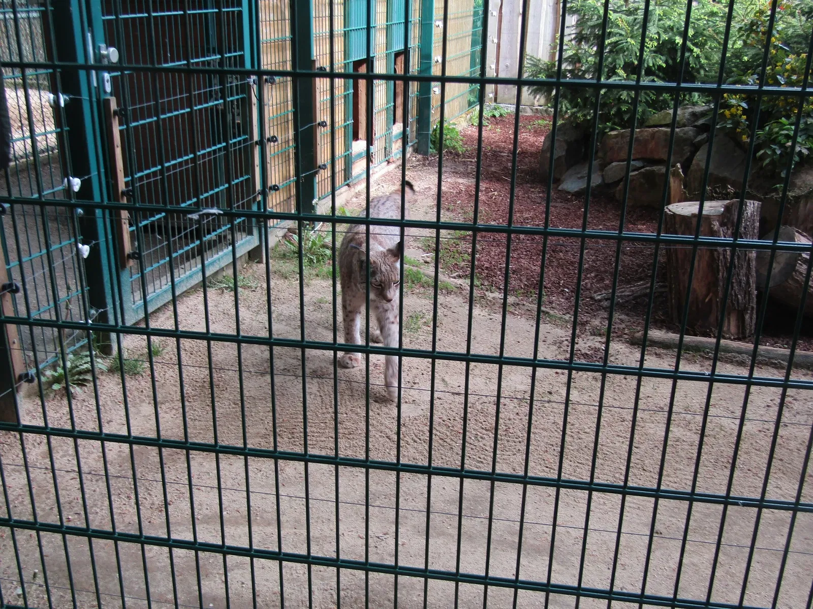 Tier-und Kulturpark Bischofswerda