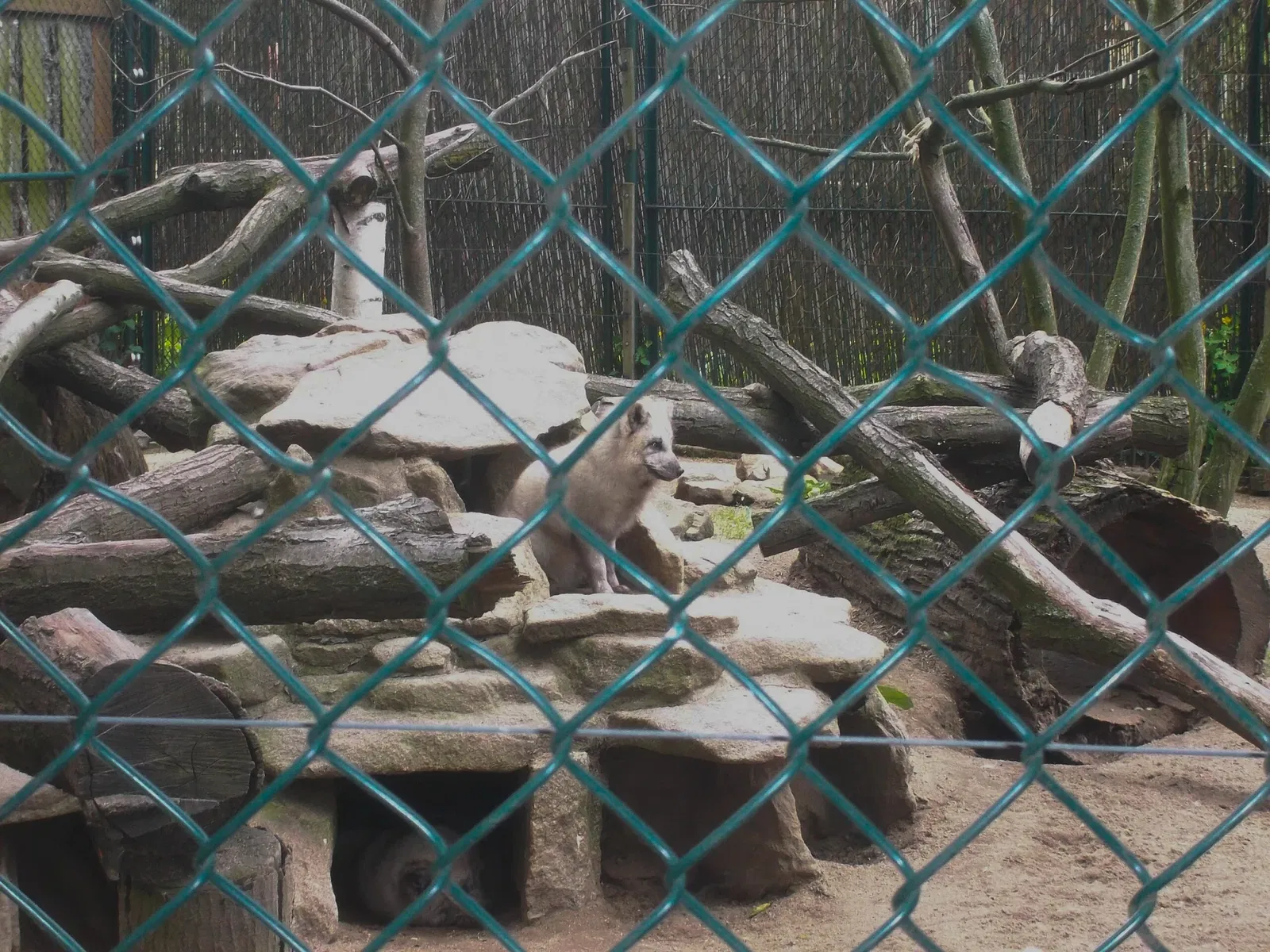 Bischofswerda Zoo