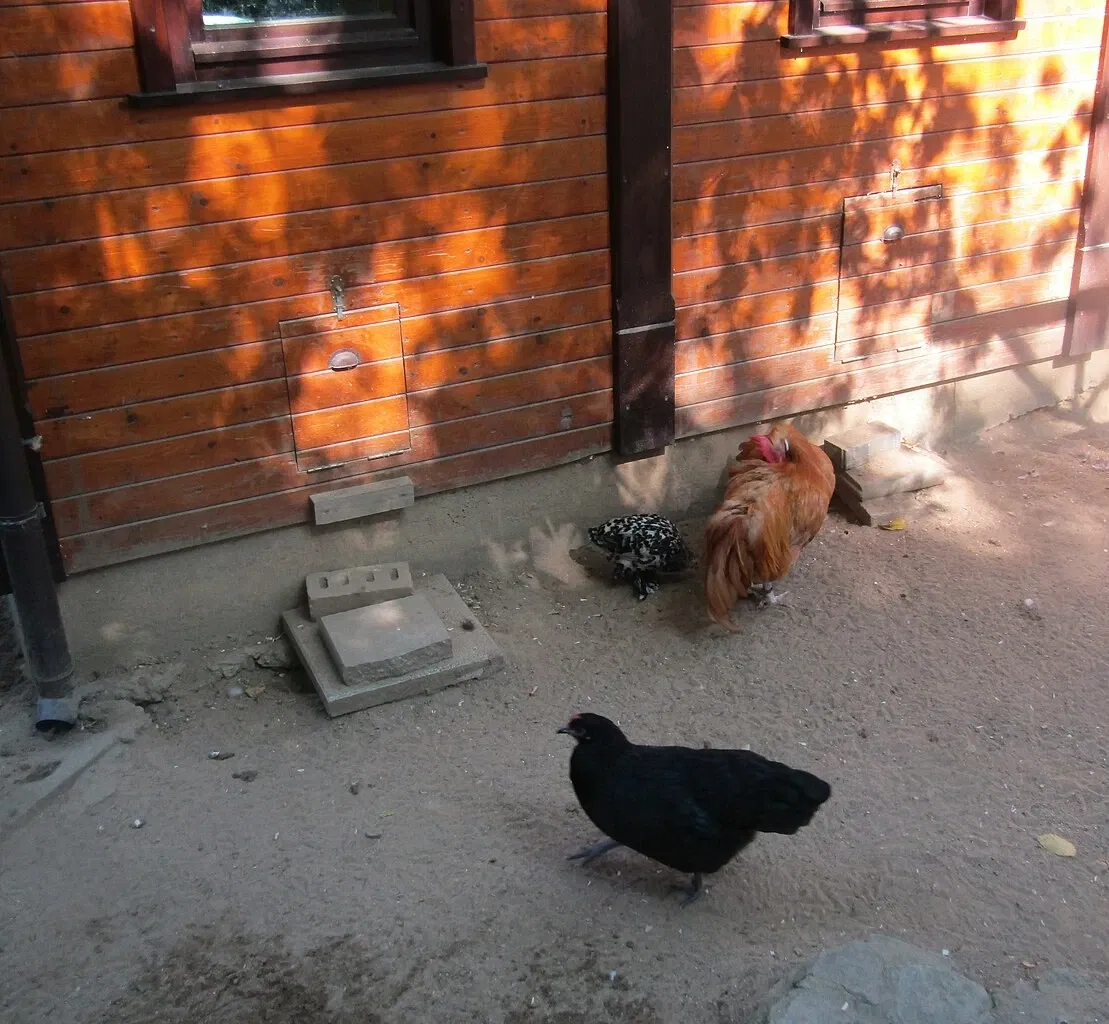 Tier-und Kulturpark Bischofswerda