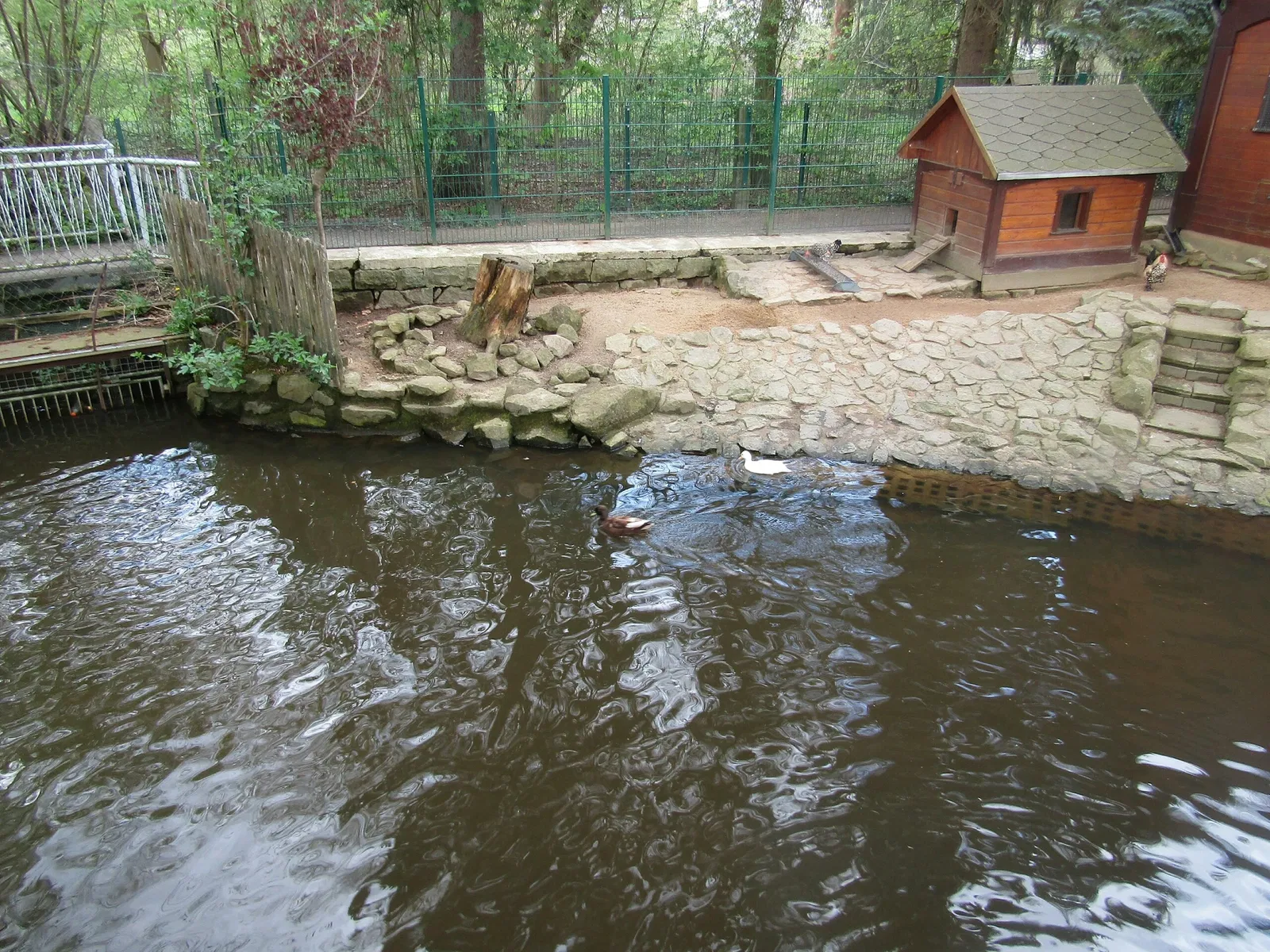 Bischofswerda Zoo