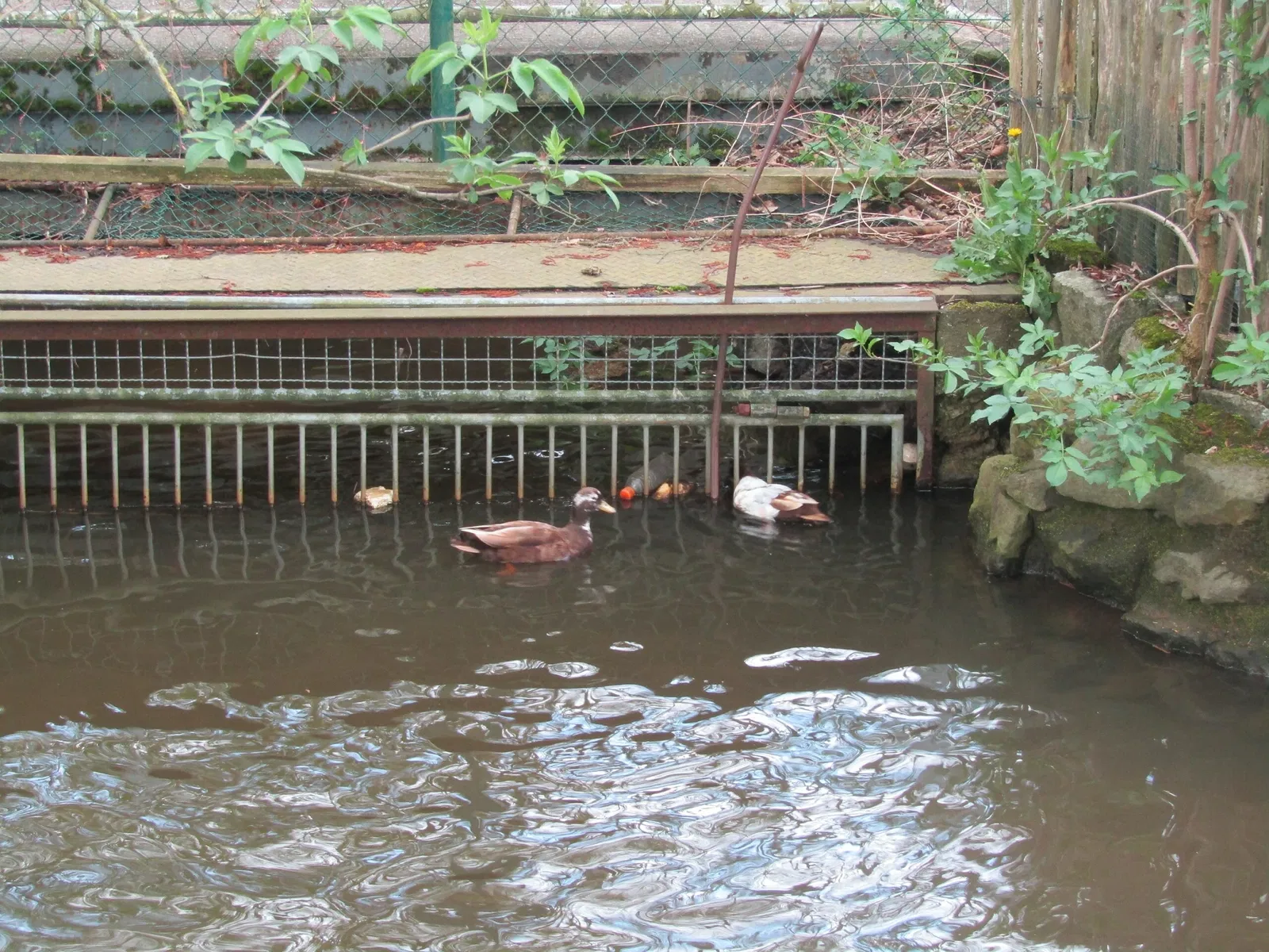 Tier-und Kulturpark Bischofswerda