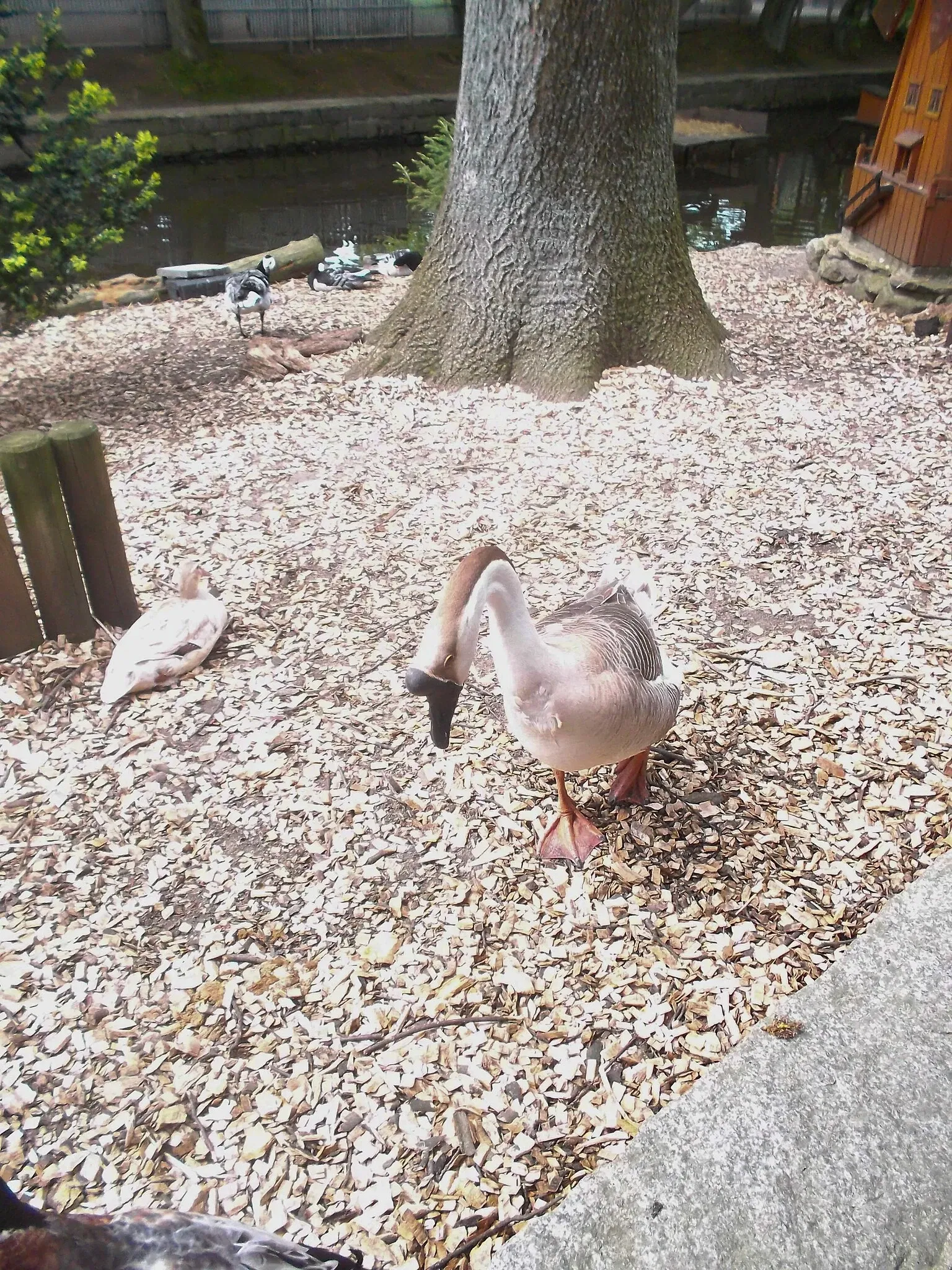 Tier-und Kulturpark Bischofswerda